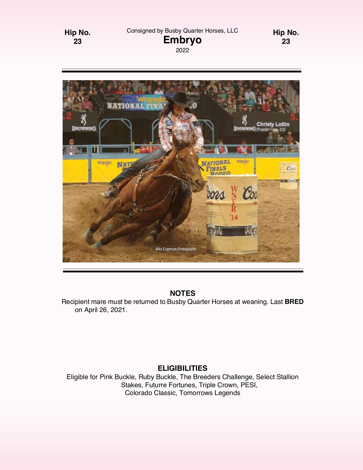 2021 Pink Buckle Horse Sale Catalog trishaj1 Pagina 107 PDF in