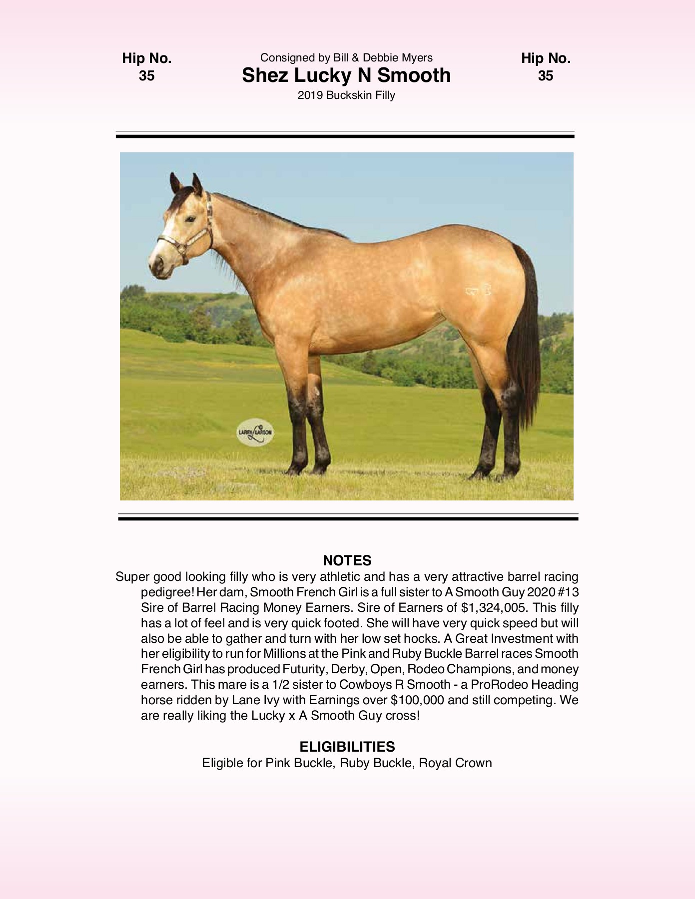 2021 Pink Buckle Horse Sale Catalog trishaj1 Pagina 131 PDF in