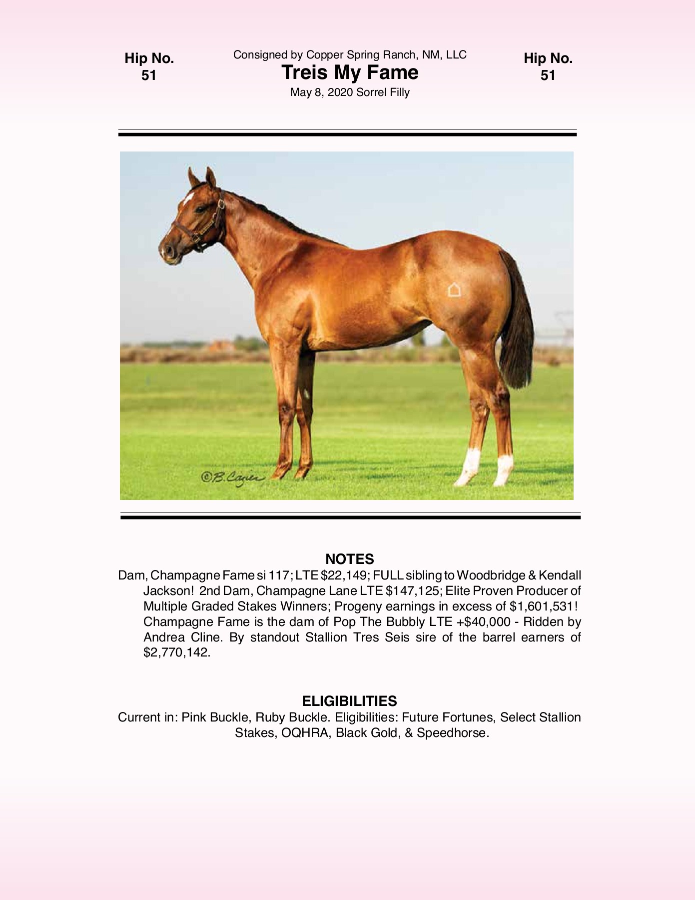 2021 Pink Buckle Horse Sale Catalog trishaj1 Pagina 165 PDF in
