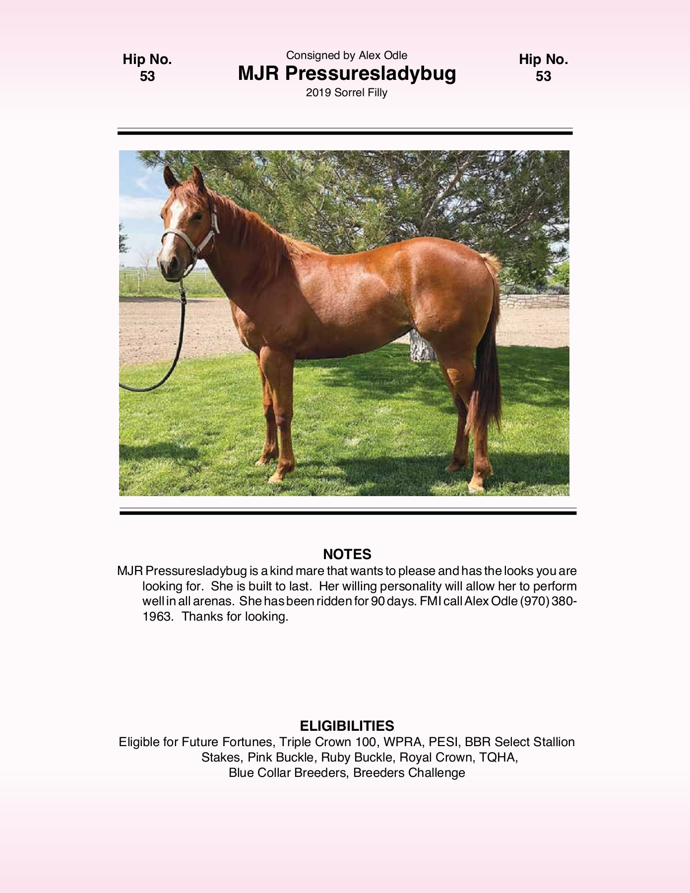 2021 Pink Buckle Horse Sale Catalog trishaj1 Pagina 169 PDF in