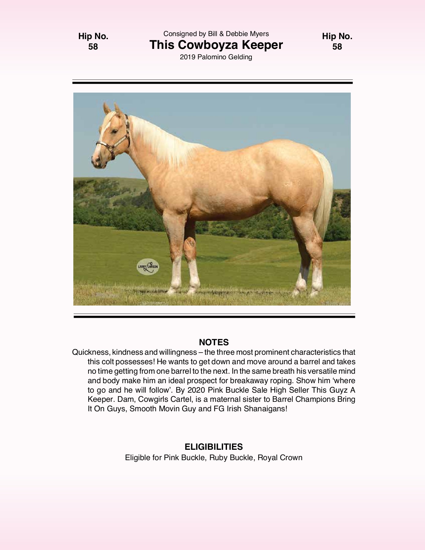 2021 Pink Buckle Horse Sale Catalog trishaj1 Pagina 179 PDF in