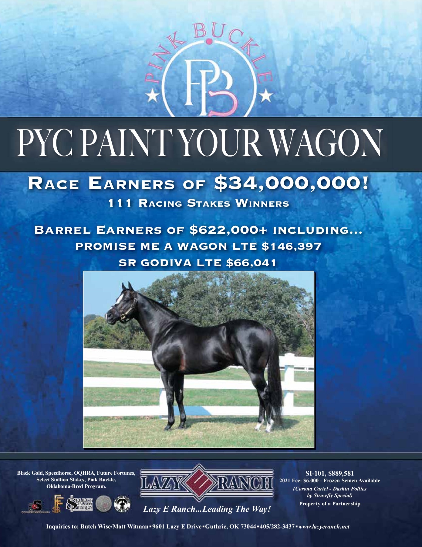 2021 Pink Buckle Horse Sale Catalog trishaj1 Pagina 18 PDF in