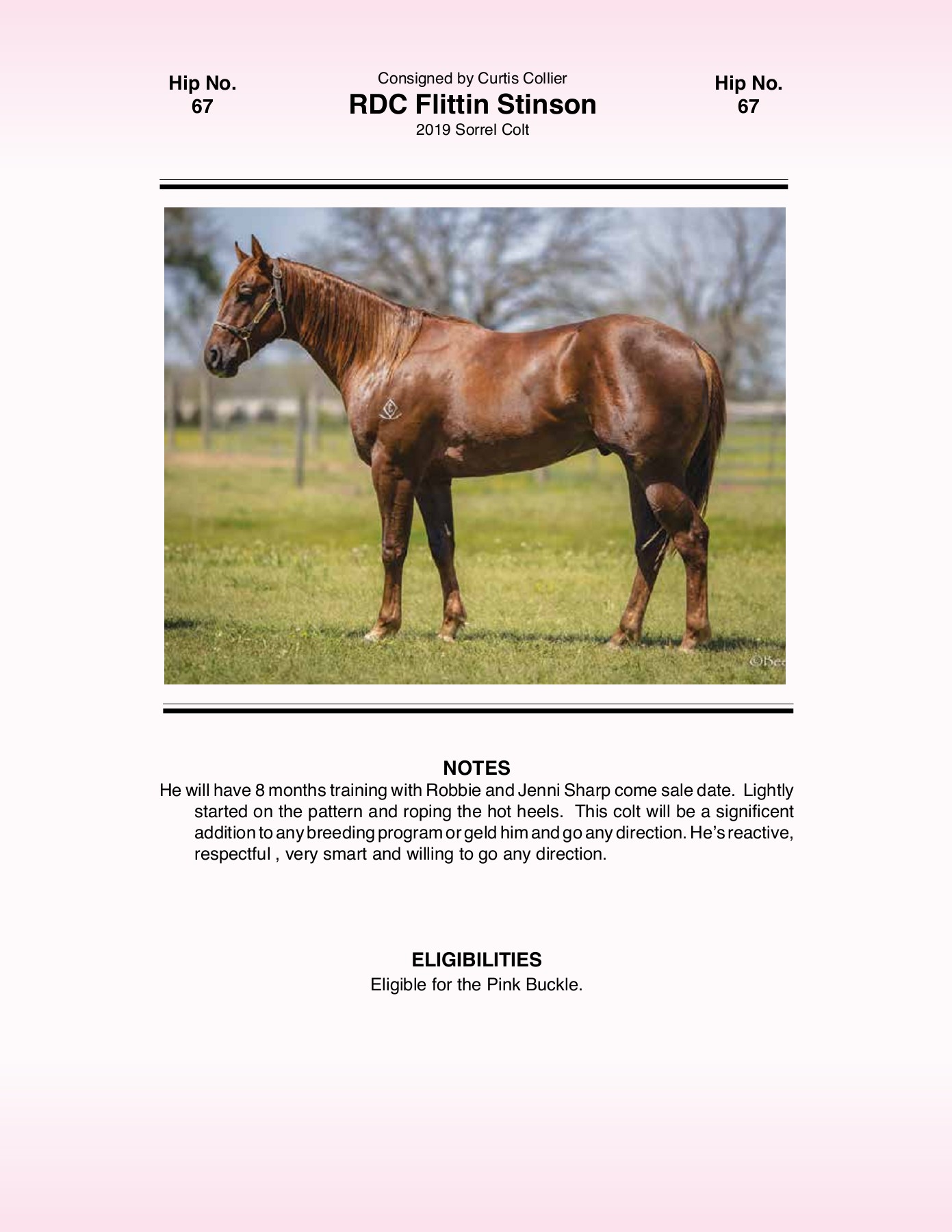 2021 Pink Buckle Horse Sale Catalog trishaj1 Pagina 197 PDF in