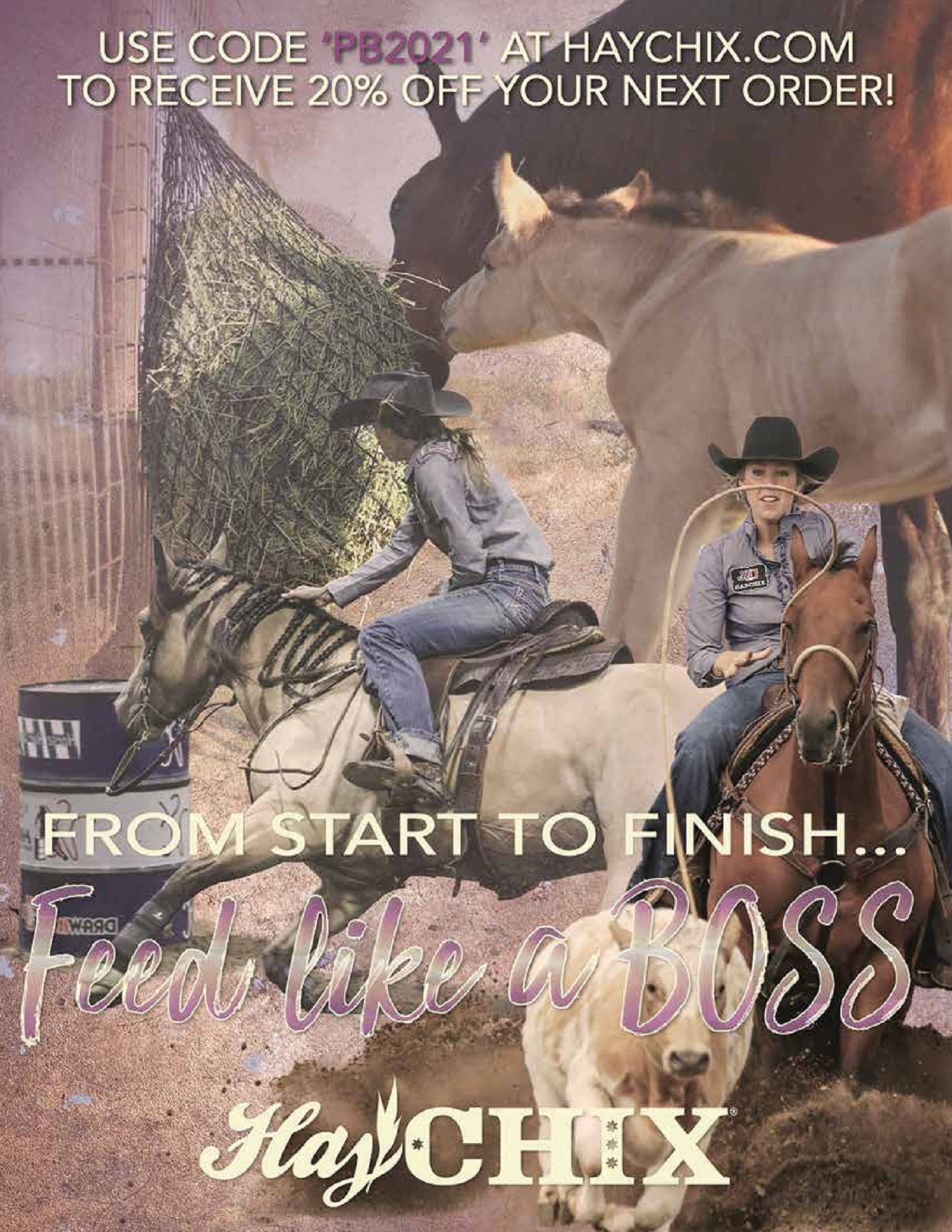 2021 Pink Buckle Horse Sale Catalog trishaj1 Pagina 2 PDF in