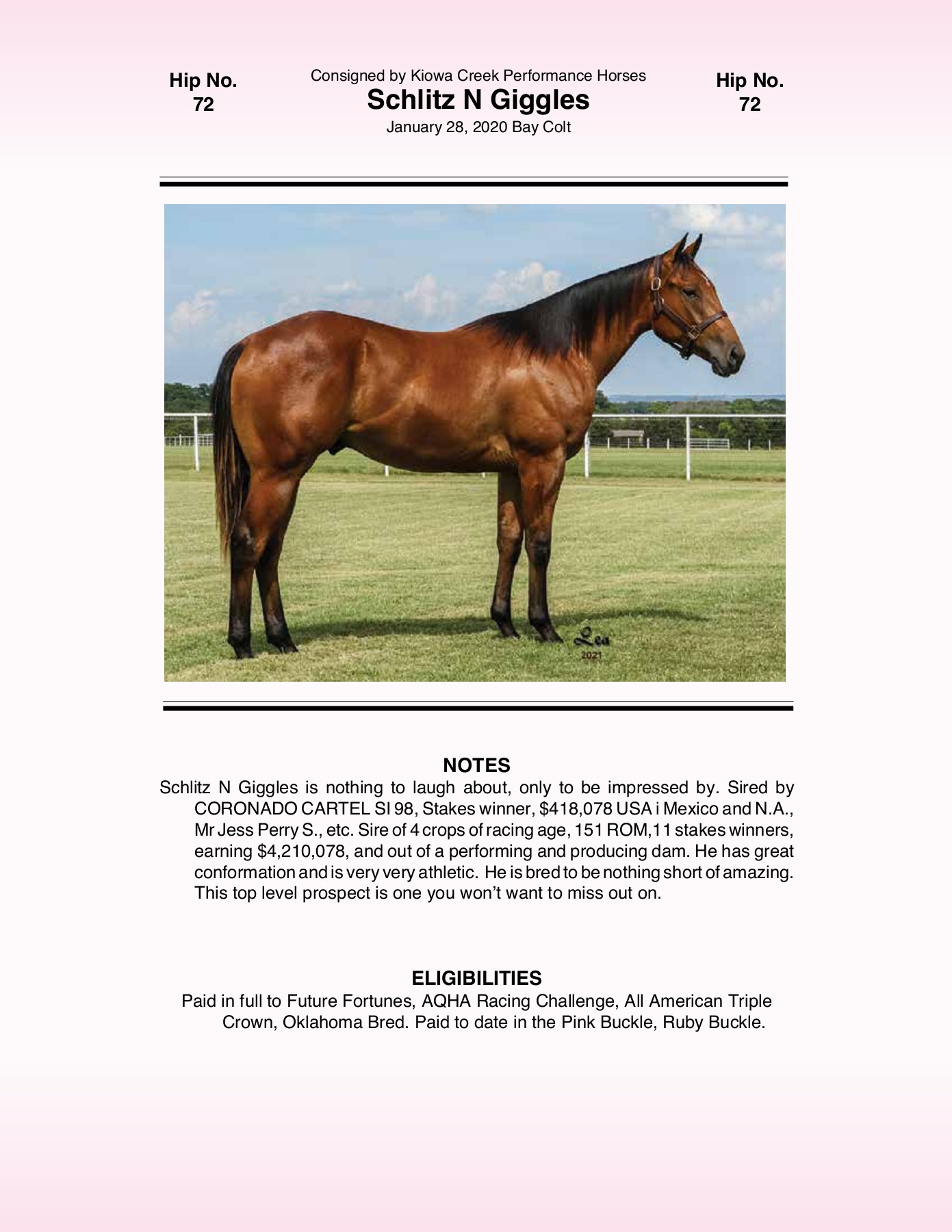 2021 Pink Buckle Horse Sale Catalog trishaj1 Pagina 207 PDF in