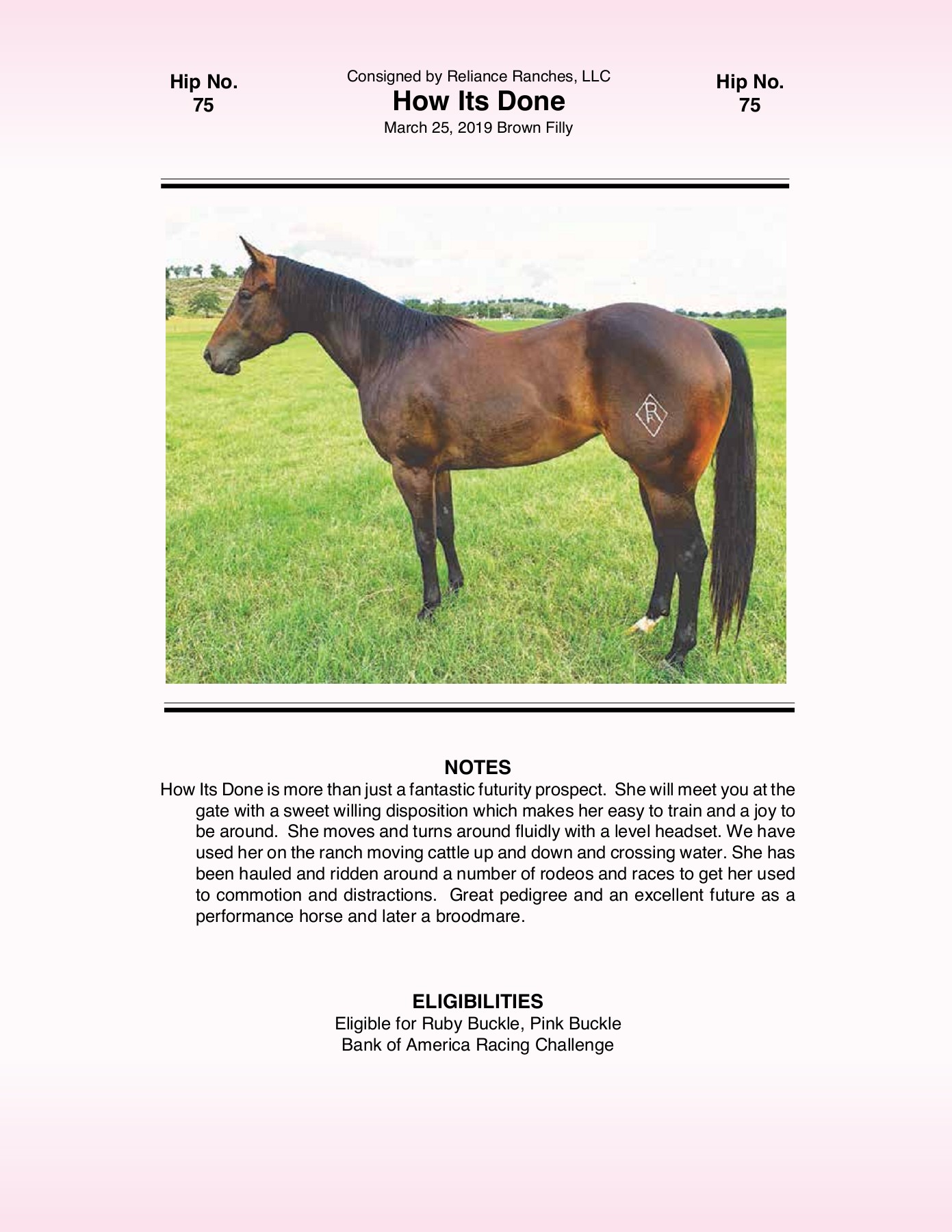 2021 Pink Buckle Horse Sale Catalog trishaj1 Pagina 213 PDF in