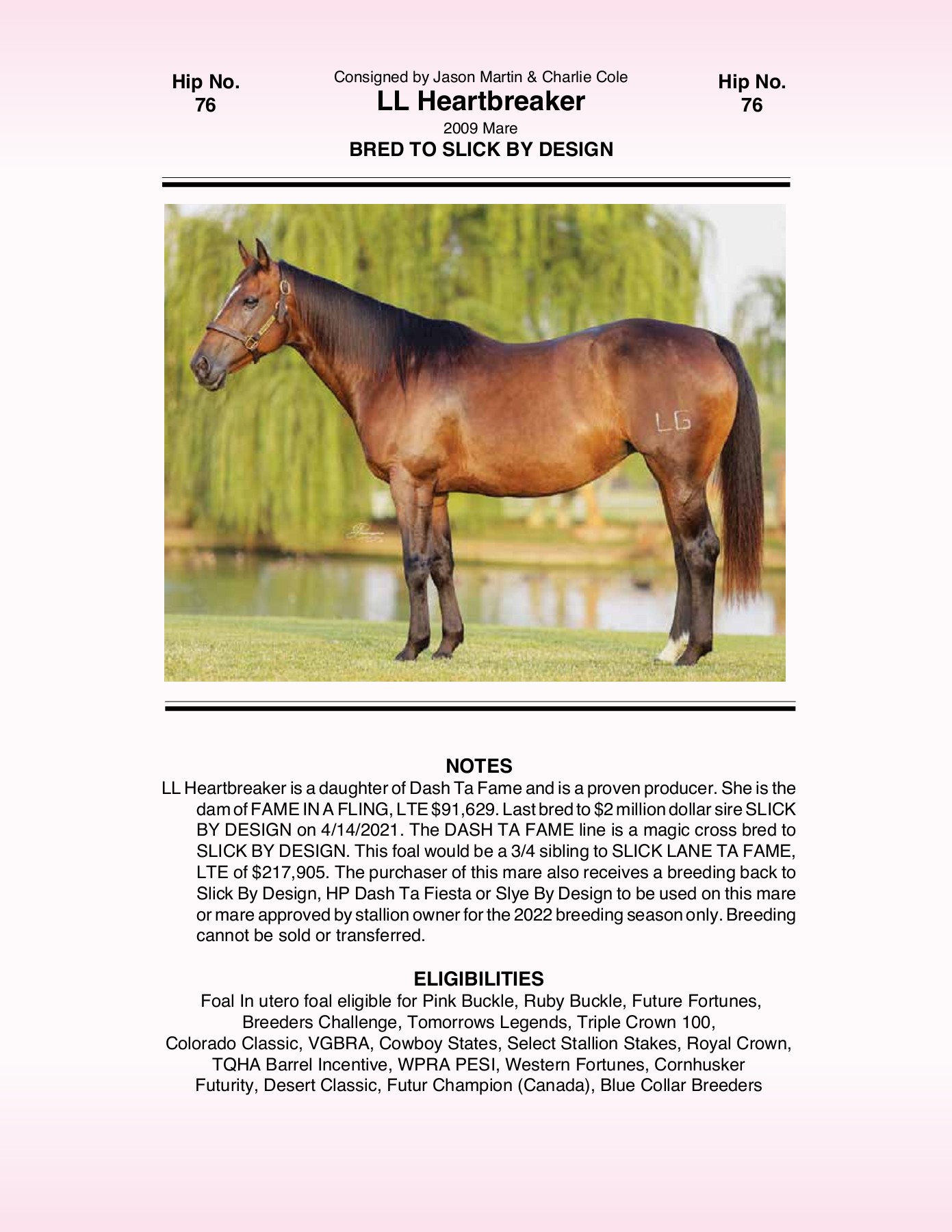 2021 Pink Buckle Horse Sale Catalog trishaj1 Pagina 215 PDF in