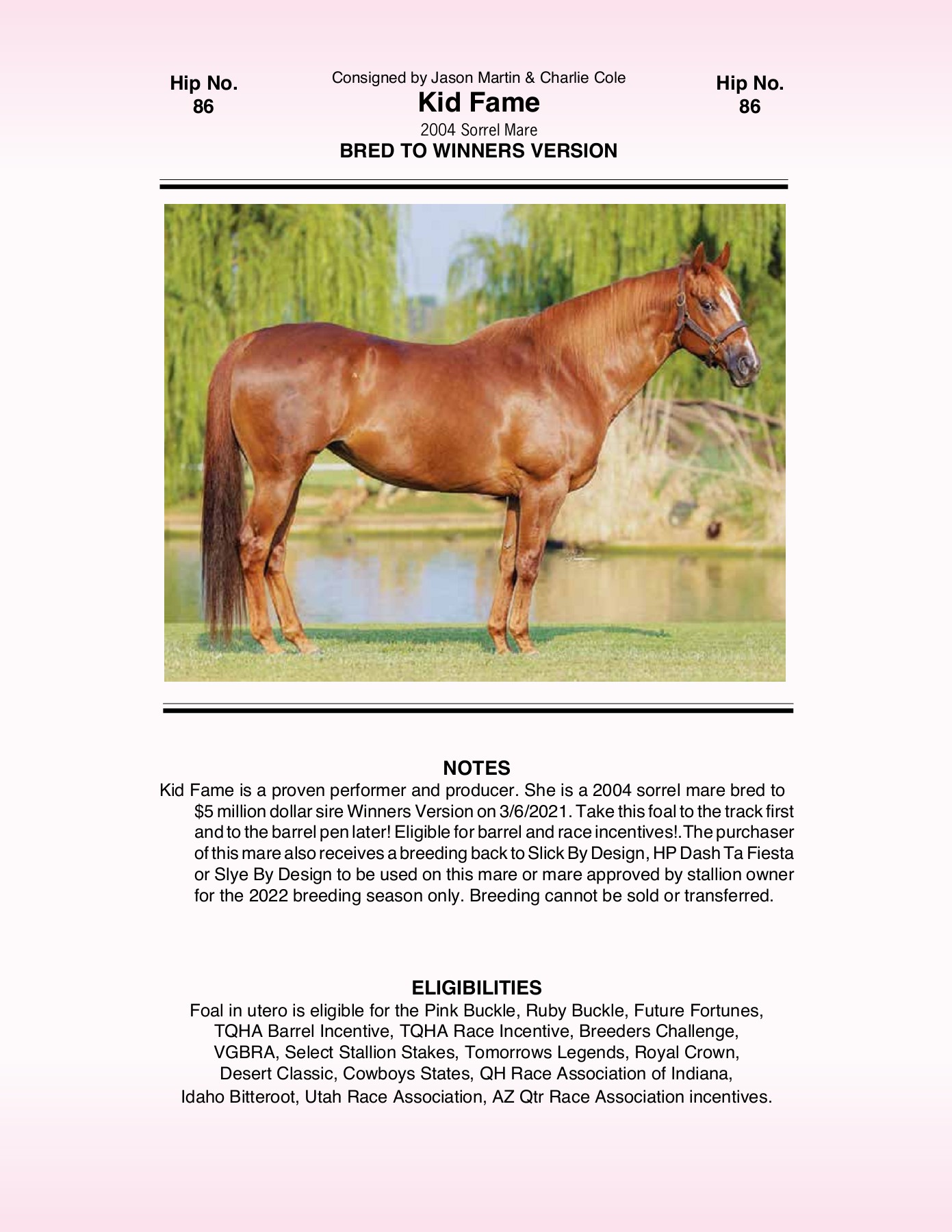 2021 Pink Buckle Horse Sale Catalog trishaj1 Pagina 235 PDF in
