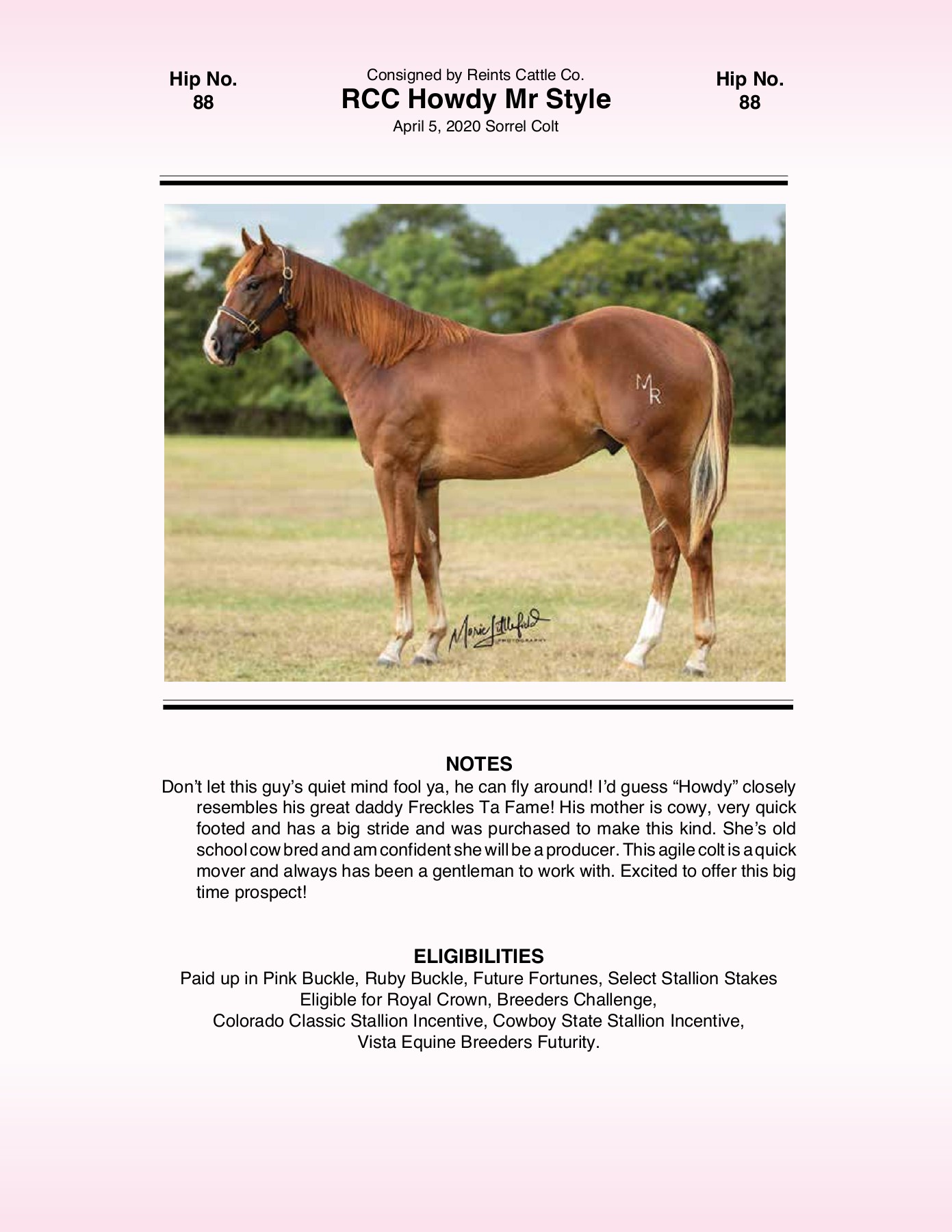 2021 Pink Buckle Horse Sale Catalog trishaj1 Pagina 239 PDF in