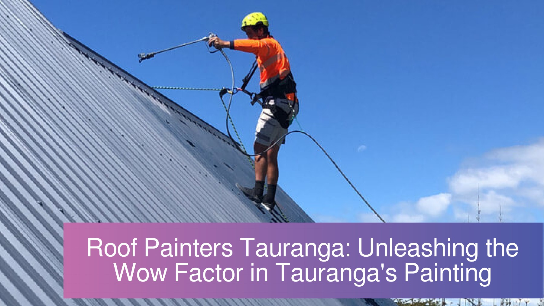 Roof Painters Tauranga Setting the Bar High for Painting in Tauranga