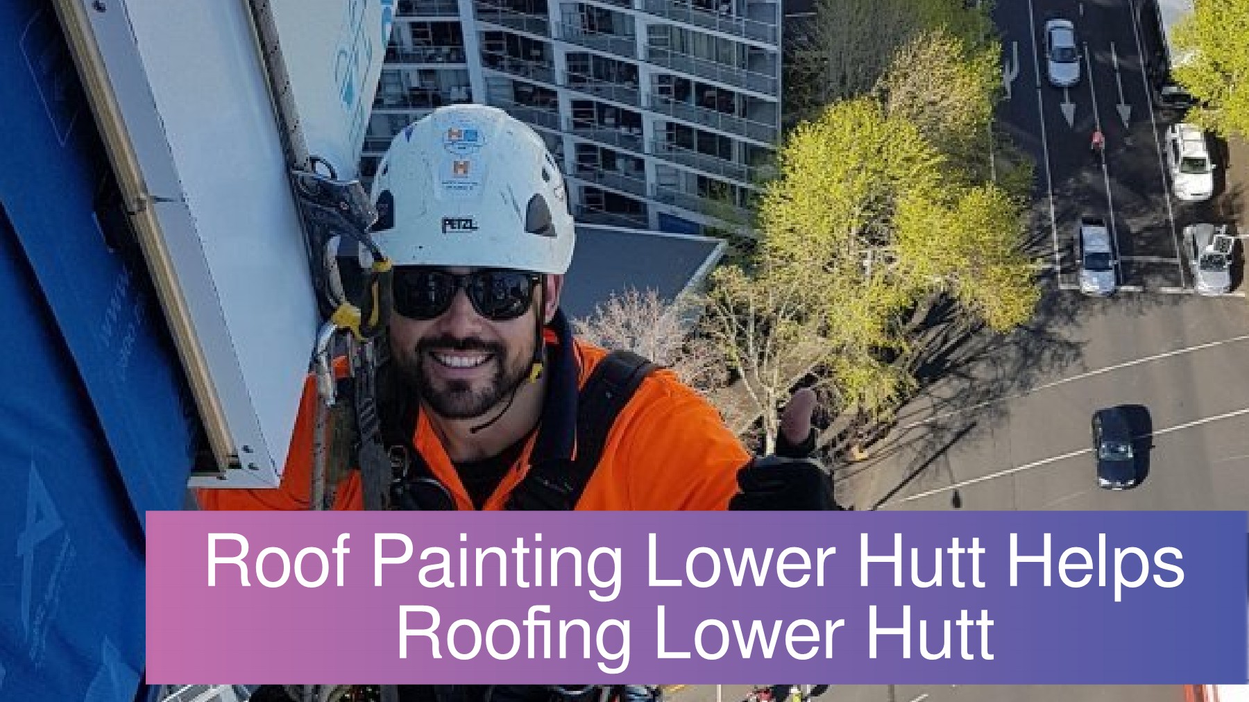 Roofing Lower Hutt Enlarges Roof Painting Lower Hutt francis Page 1