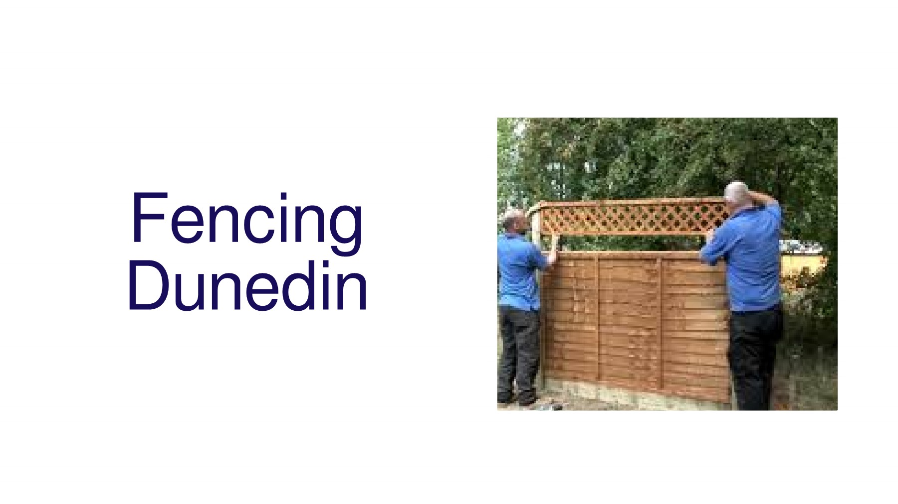 Fencing Dunedin Fencing Contractor Dunedin francis Page 1 8