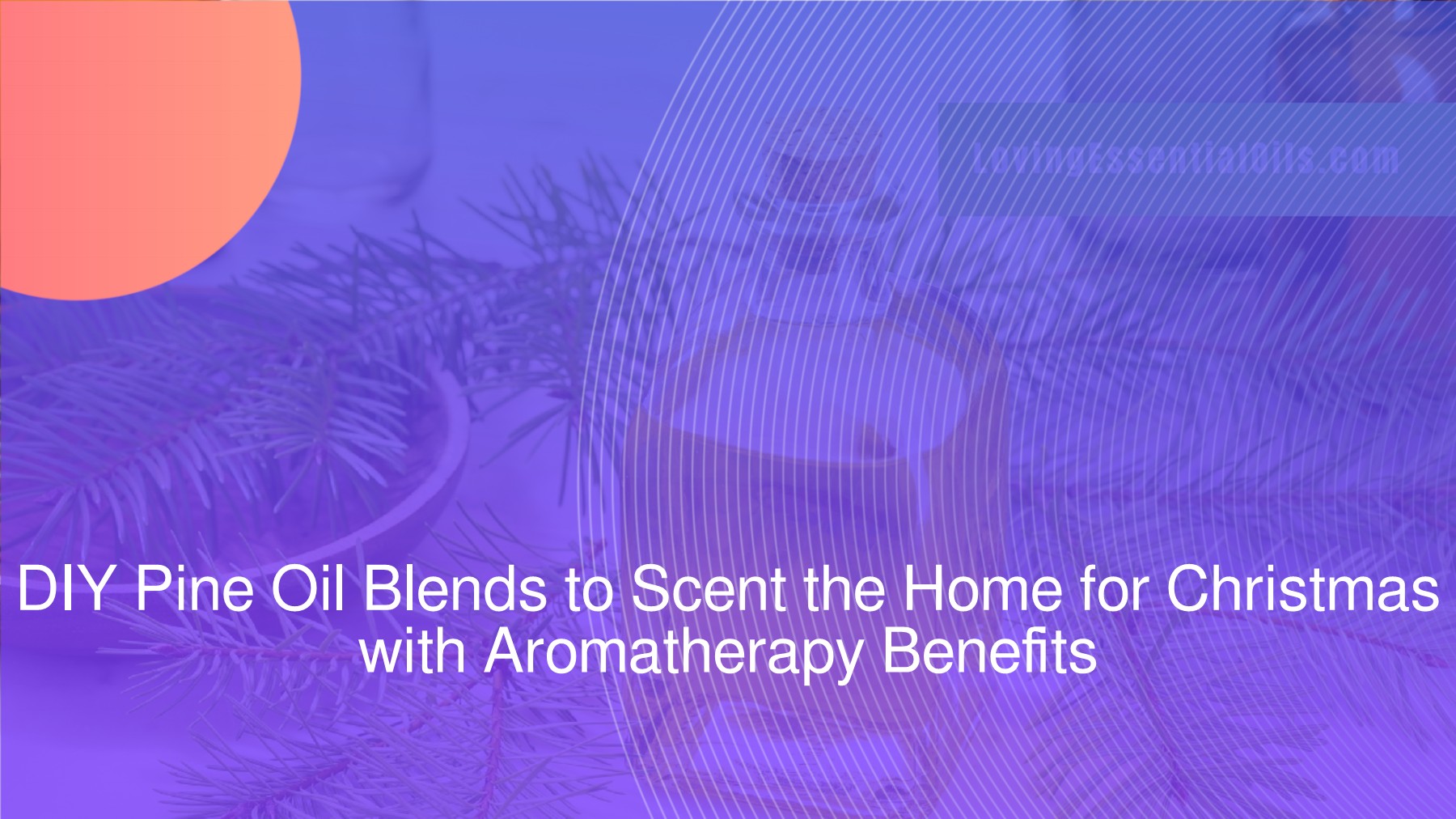 DIY Pine Oil Blends to Scent the Home for Christmas with Aromatherapy Benefits francis Page
