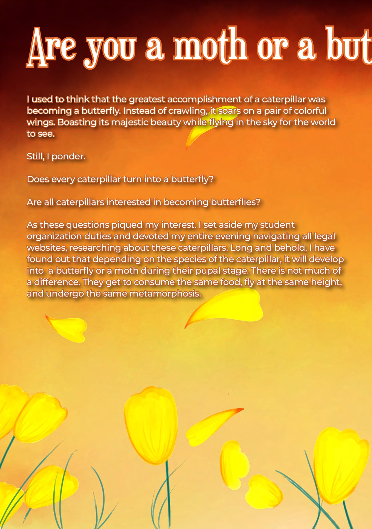 FOLIO SAMPLE 10 ourween.calix Page 44 Flip PDF Online PubHTML5