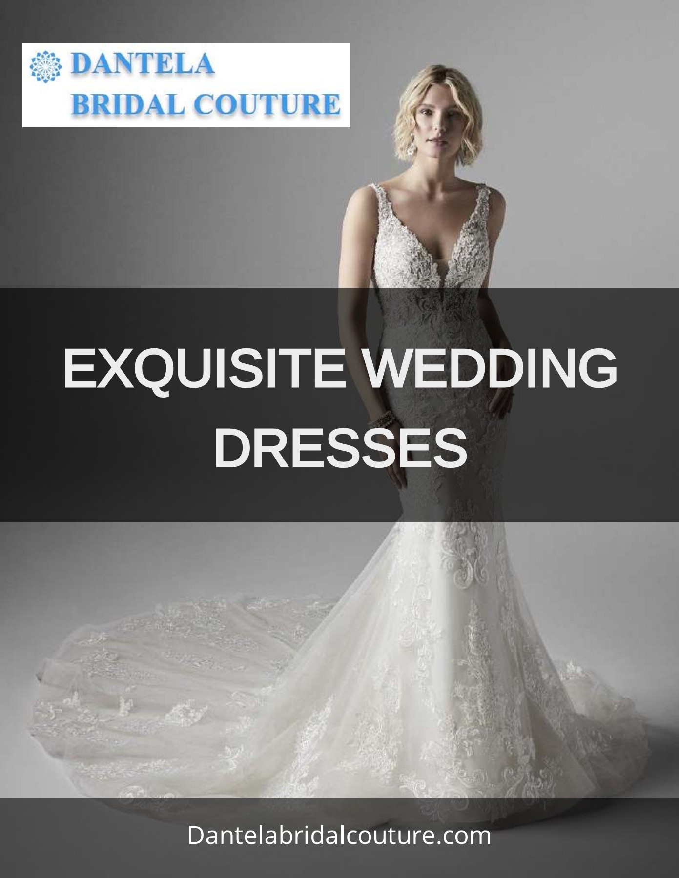 Plus Size Wedding Dresses Chicago Dantela Bridal Couture Page 1