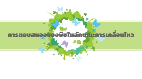 CopyofWatercolorButterfliesTreePowerPointTemplates