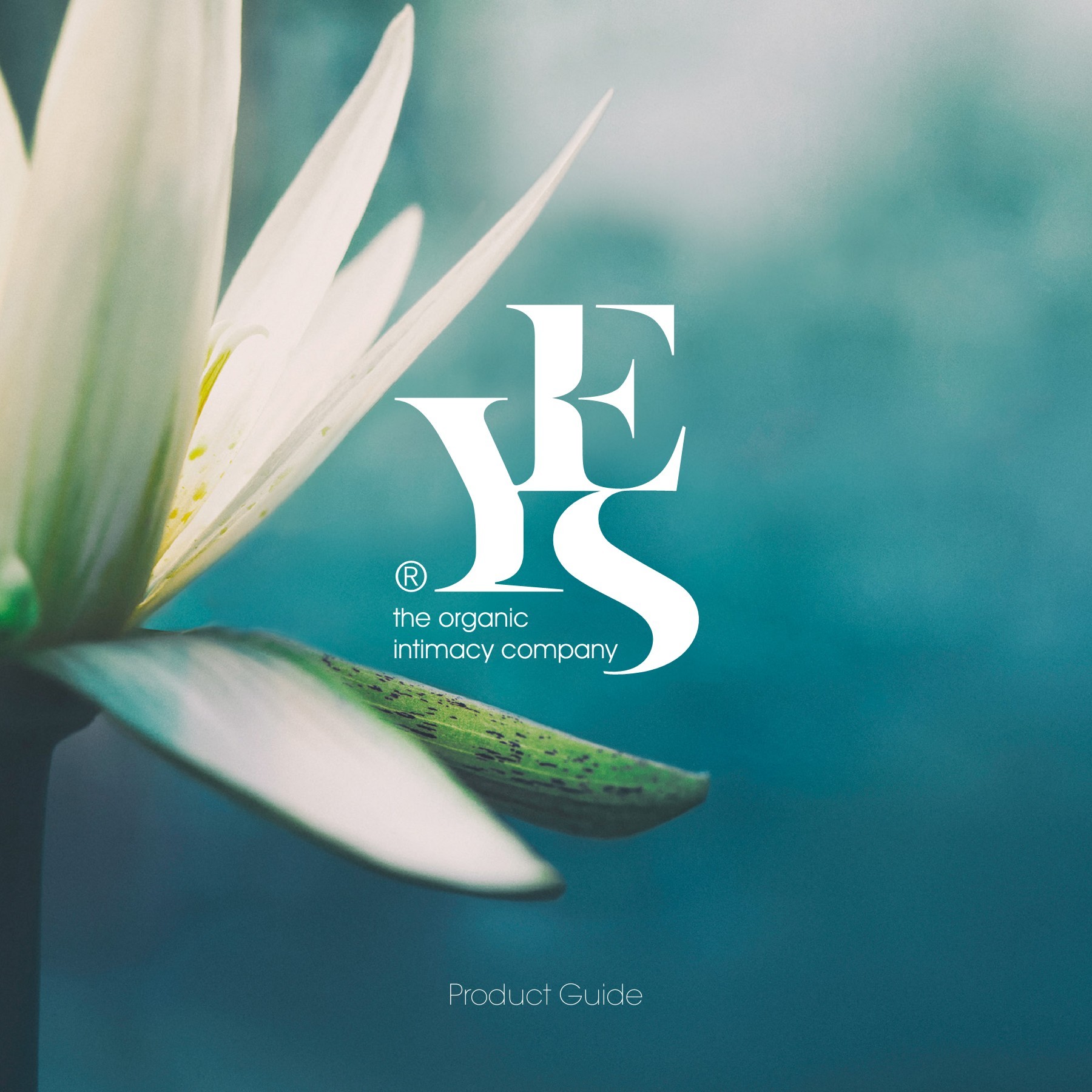 The YES YES Company Ltd Trade Brochure 0418 ciaran james Page 1