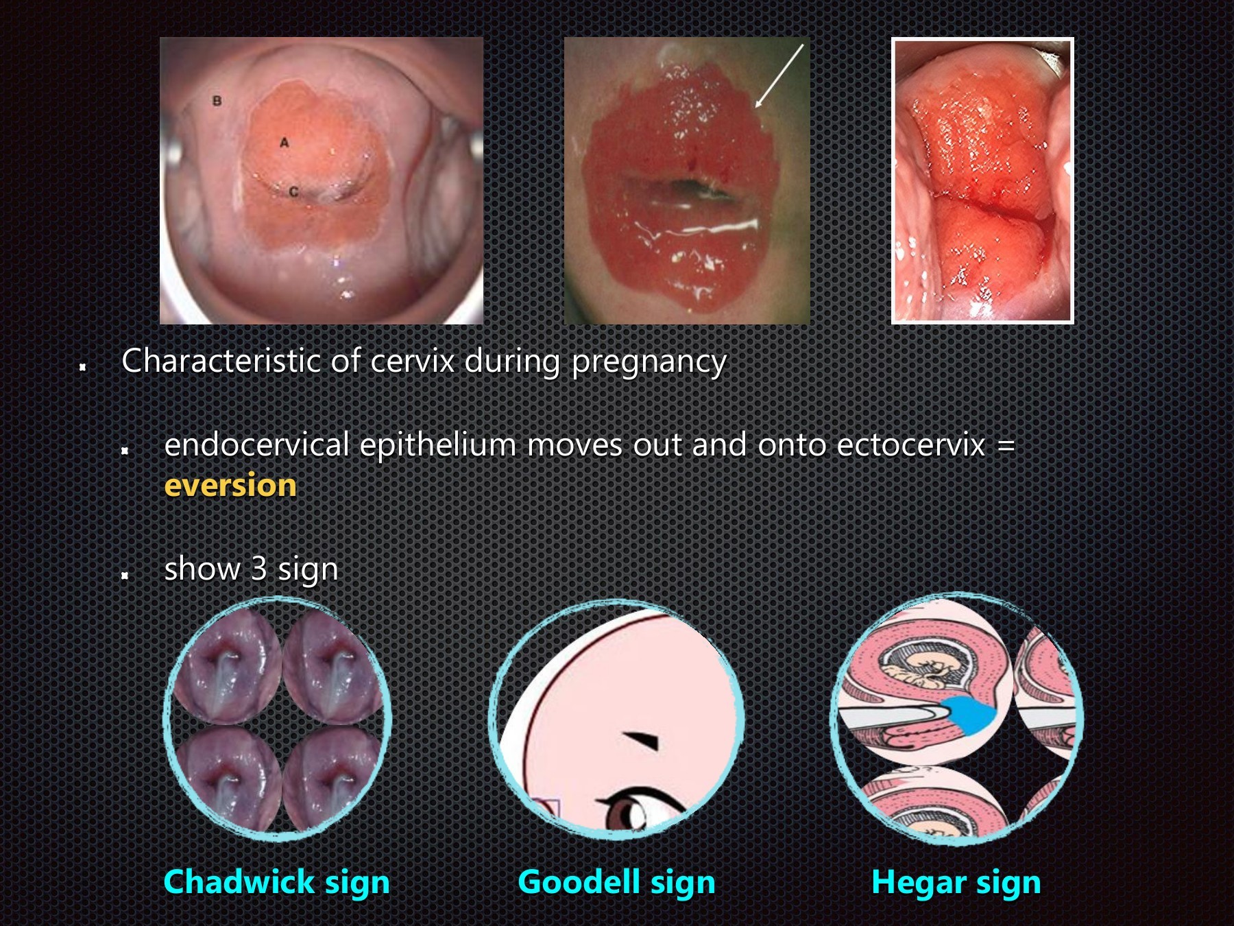 anatomy - patumrassamee - Page 95 | Flip PDF Online | PubHTML5