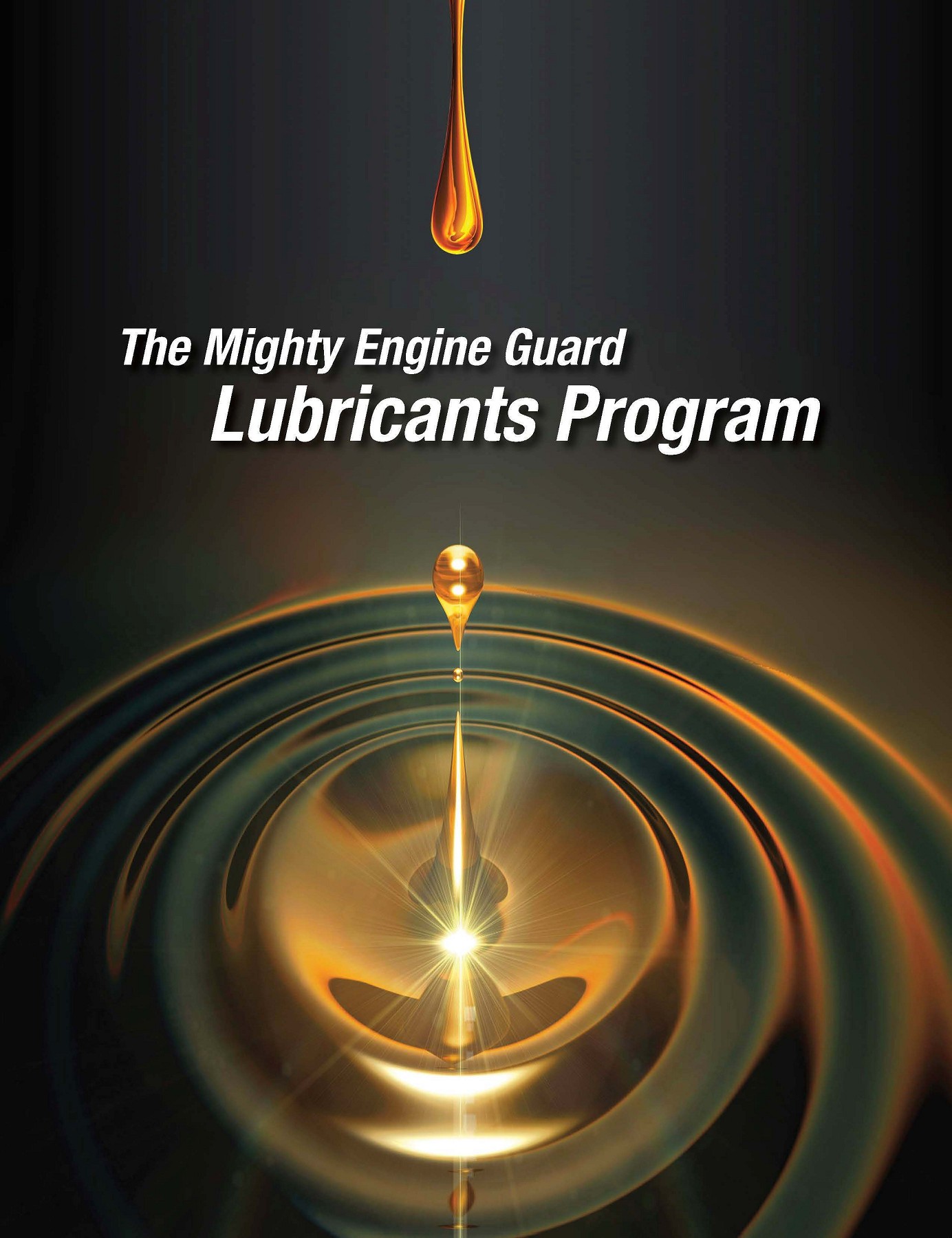 MLP 100 Lubricants Brochure Rachel Overby Side 1 4 Online PDF