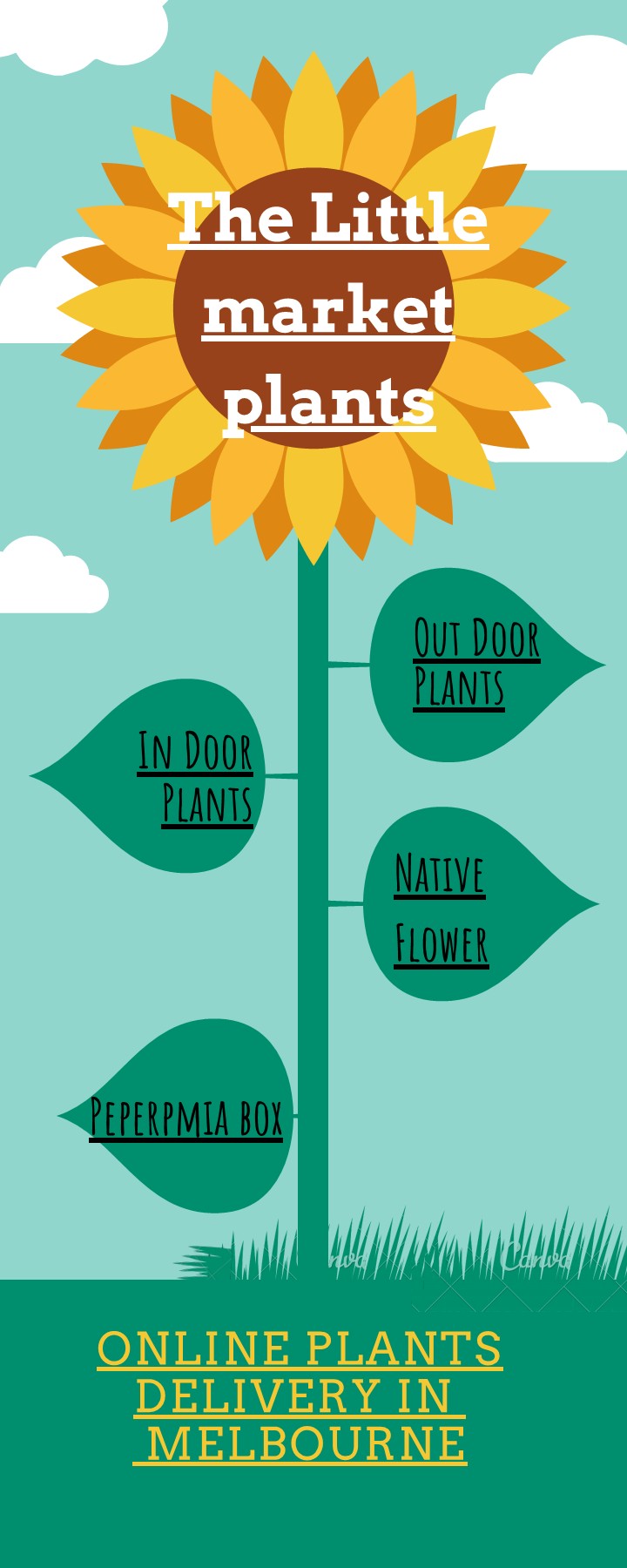 online garden store in Melbourne thelittlemarketplants Page 1 1