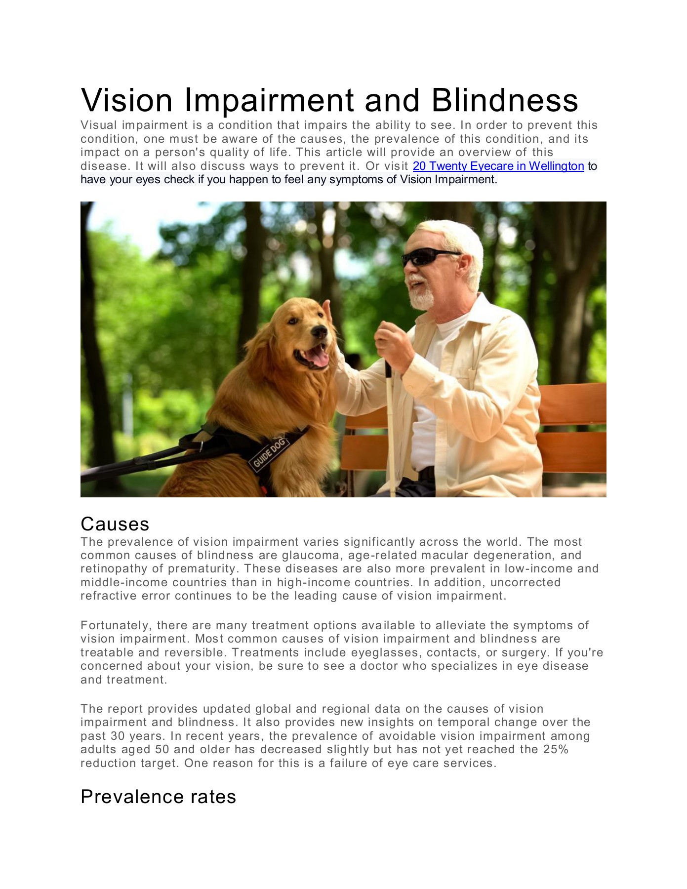 Vision Impairment and Blindness Matthew D. Jahnke Page 1 2 Flip