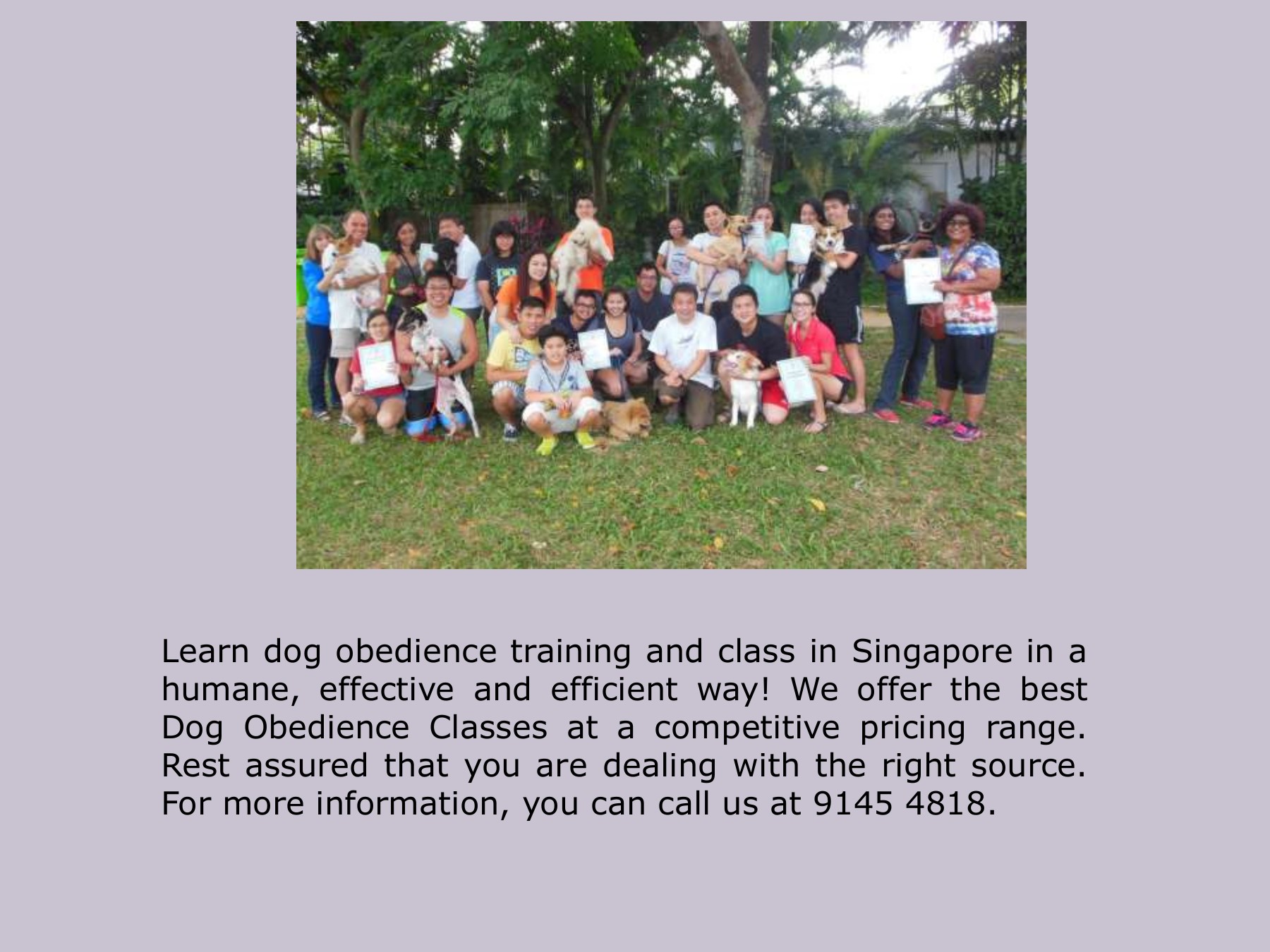 Puppy House Training Singapore doglistenerconsultsg Page 1 5