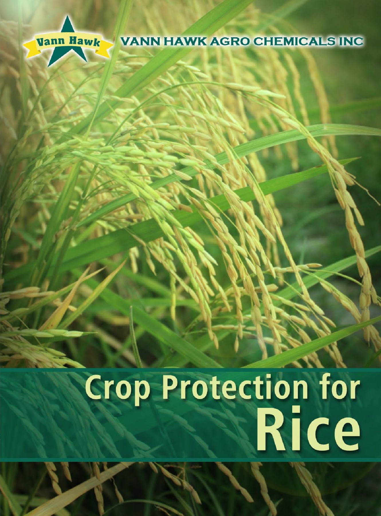 crop protection Rice Melvin Tuazon Page 1 14 Flip PDF Online