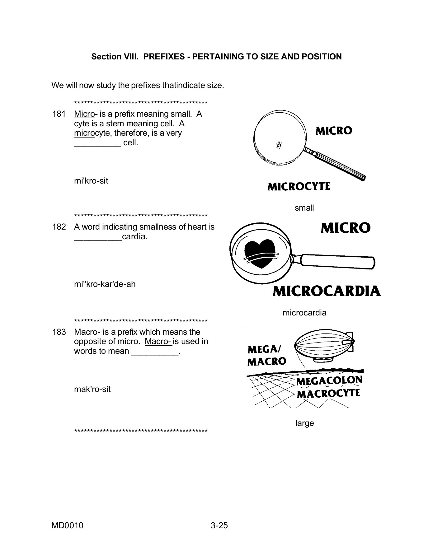 basic-medical-terminology-shaneholl-page-119-flip-pdf-online