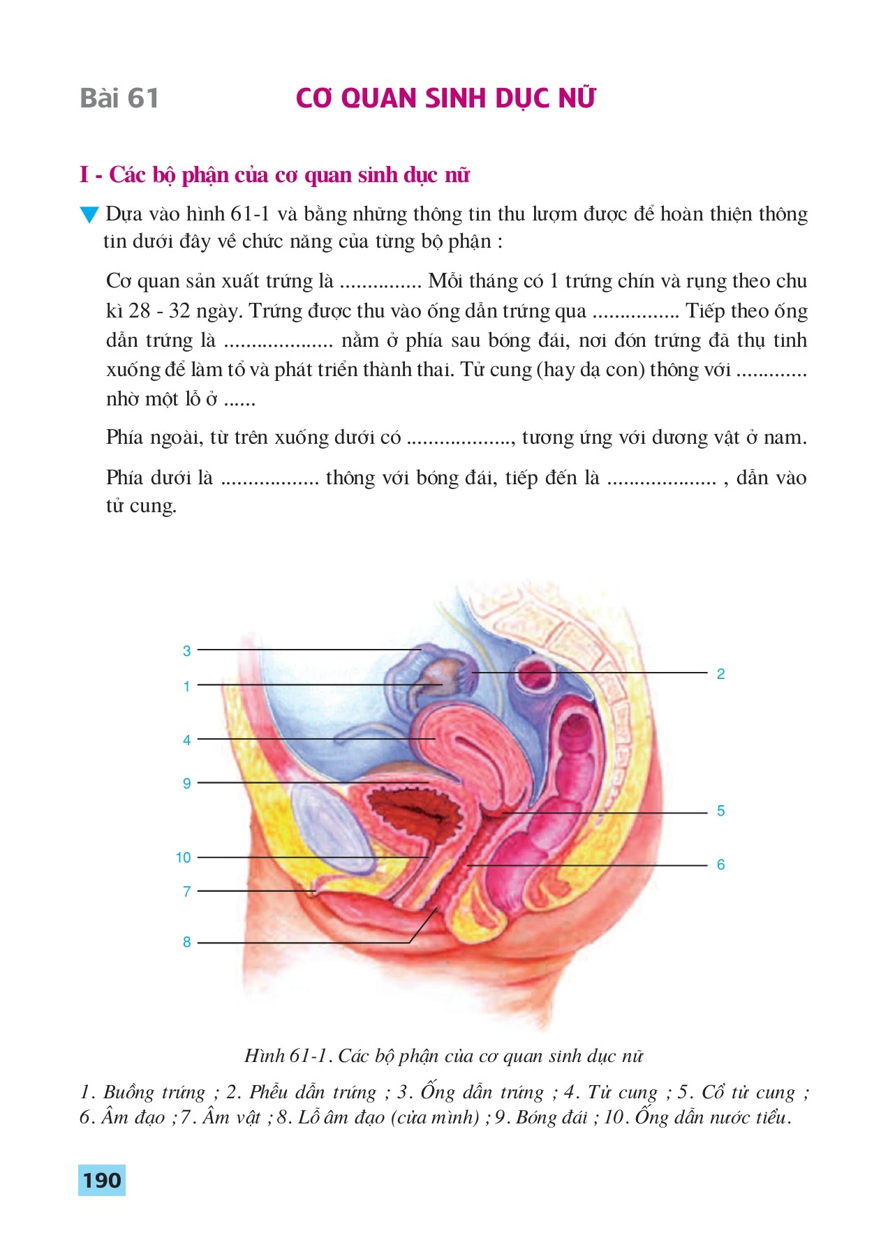 SÁCH EBOOK SINH HỌC 8 - binhchau.et - Trang 190 | PDF lật trang trực ...