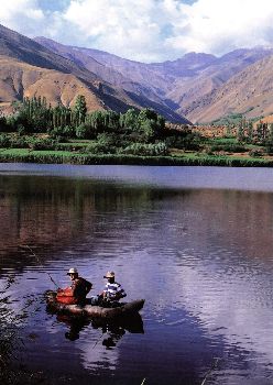 flipbook (undefined desc)