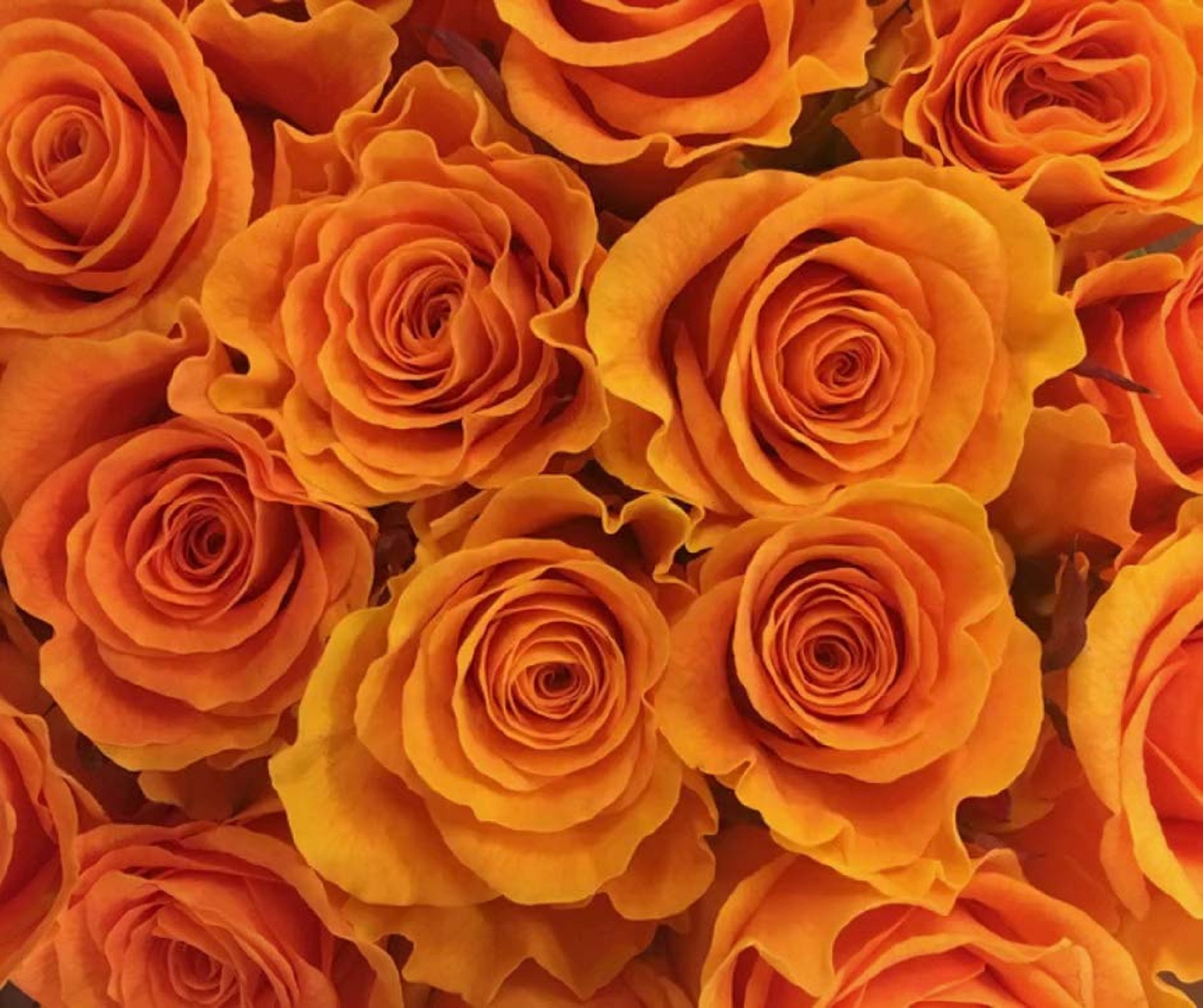 flower delivery Melbourne littlemarketbunch Page 1 202 Flip PDF