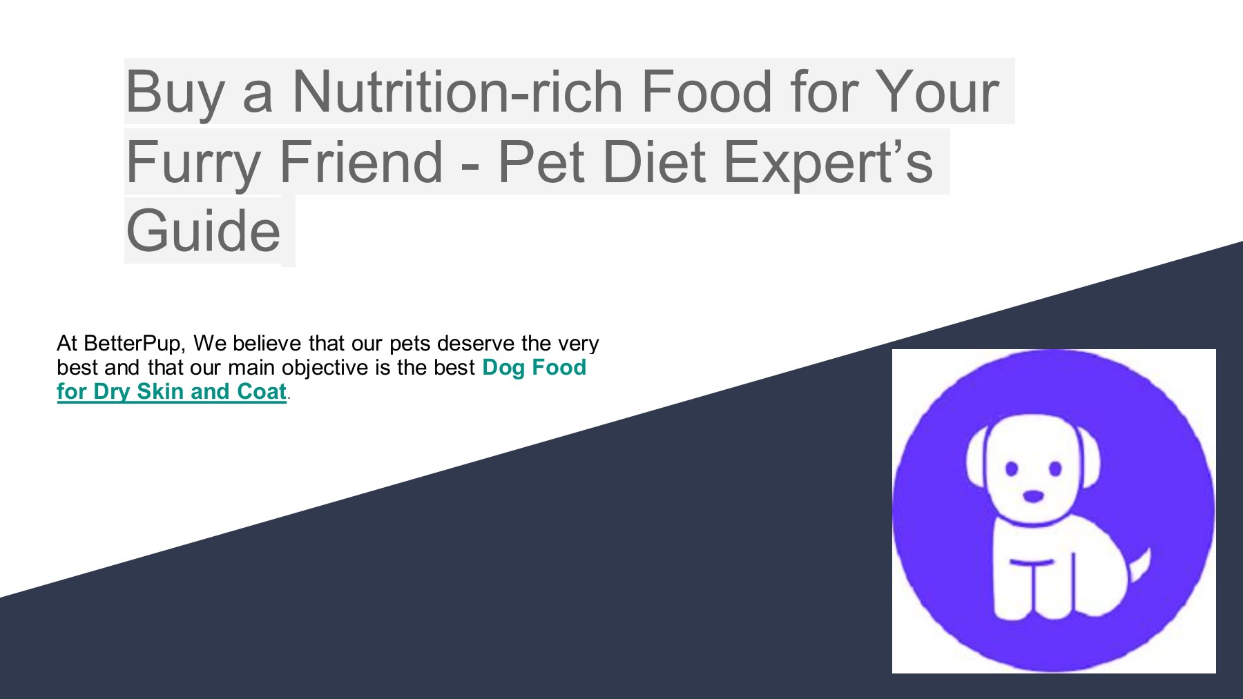 Buy a Nutrition-rich Food for Your Furry Friend - Pet Diet Expert’s