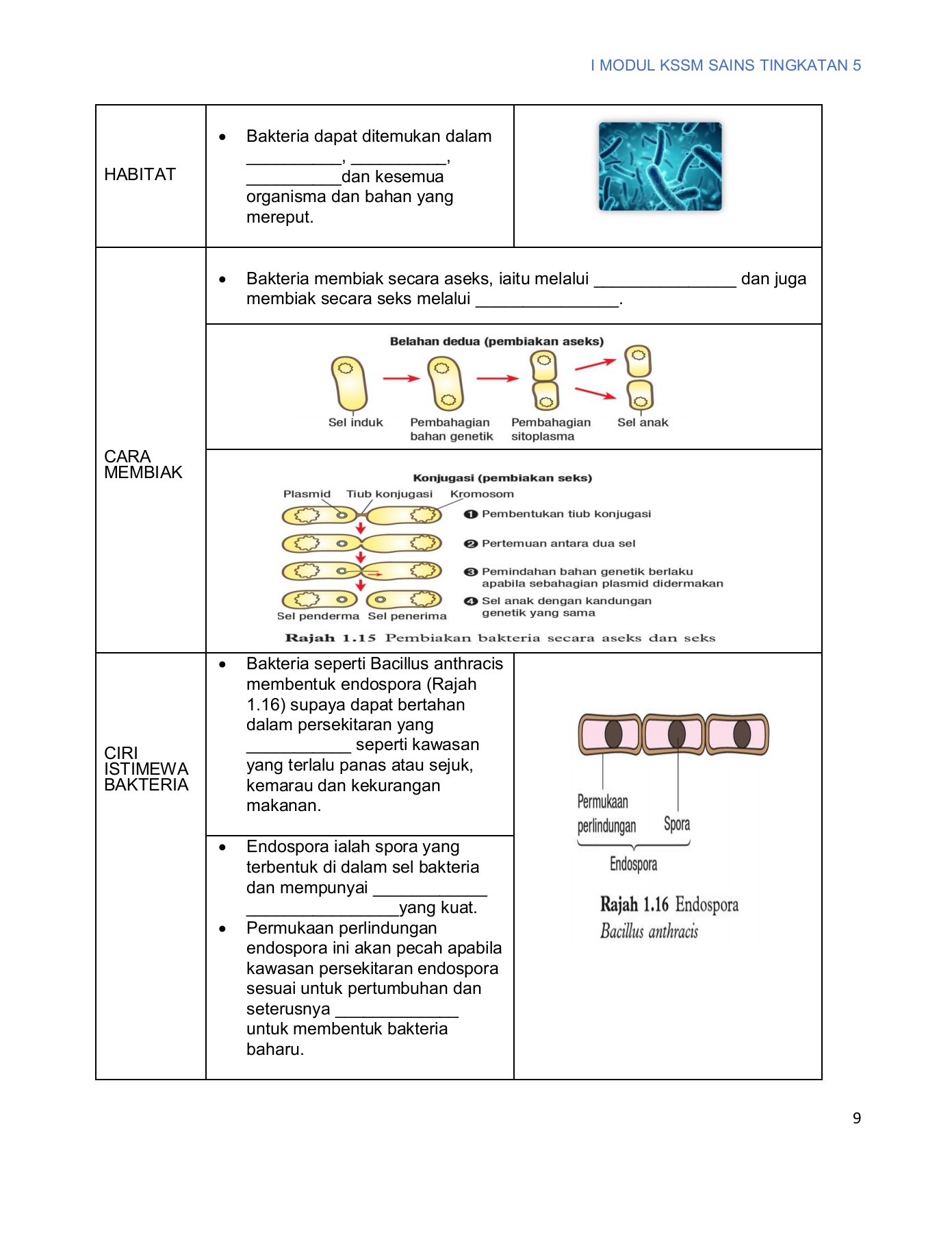 MODUL SAINS KSSM T5 - yusupsmksu - Muka Surat 14 | Membalik PDF Dalam ...