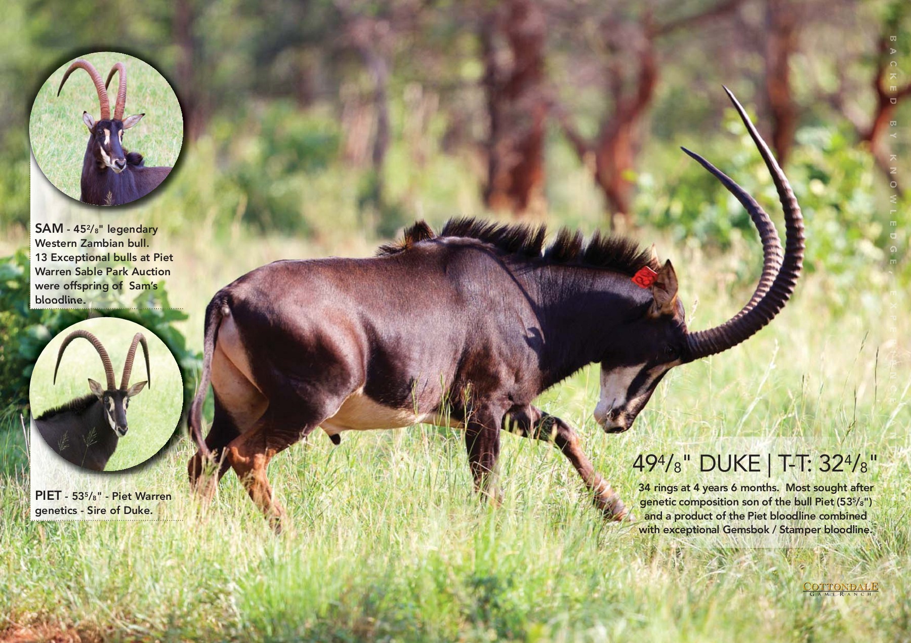 2017 PGB CATALOGUE bradley.rourke Page 105 Flip PDF Online PubHTML5