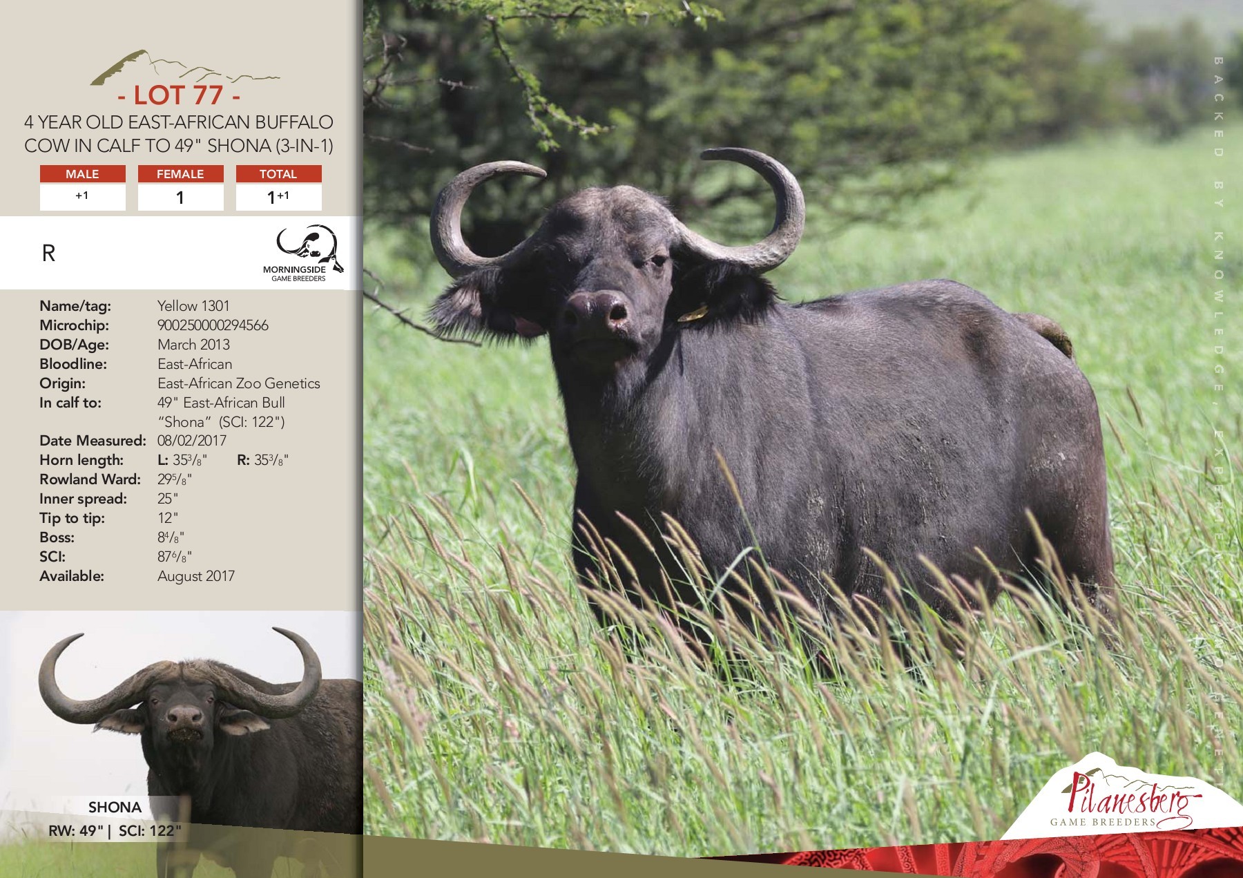 2017 PGB CATALOGUE bradley.rourke Page 117 Flip PDF Online PubHTML5