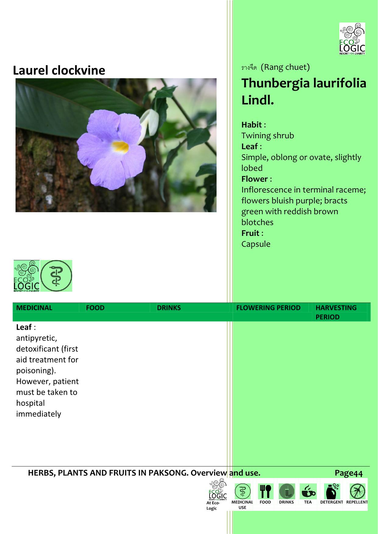 Herbs and plants tcdf.ecologic Page 44 Flip PDF Online PubHTML5