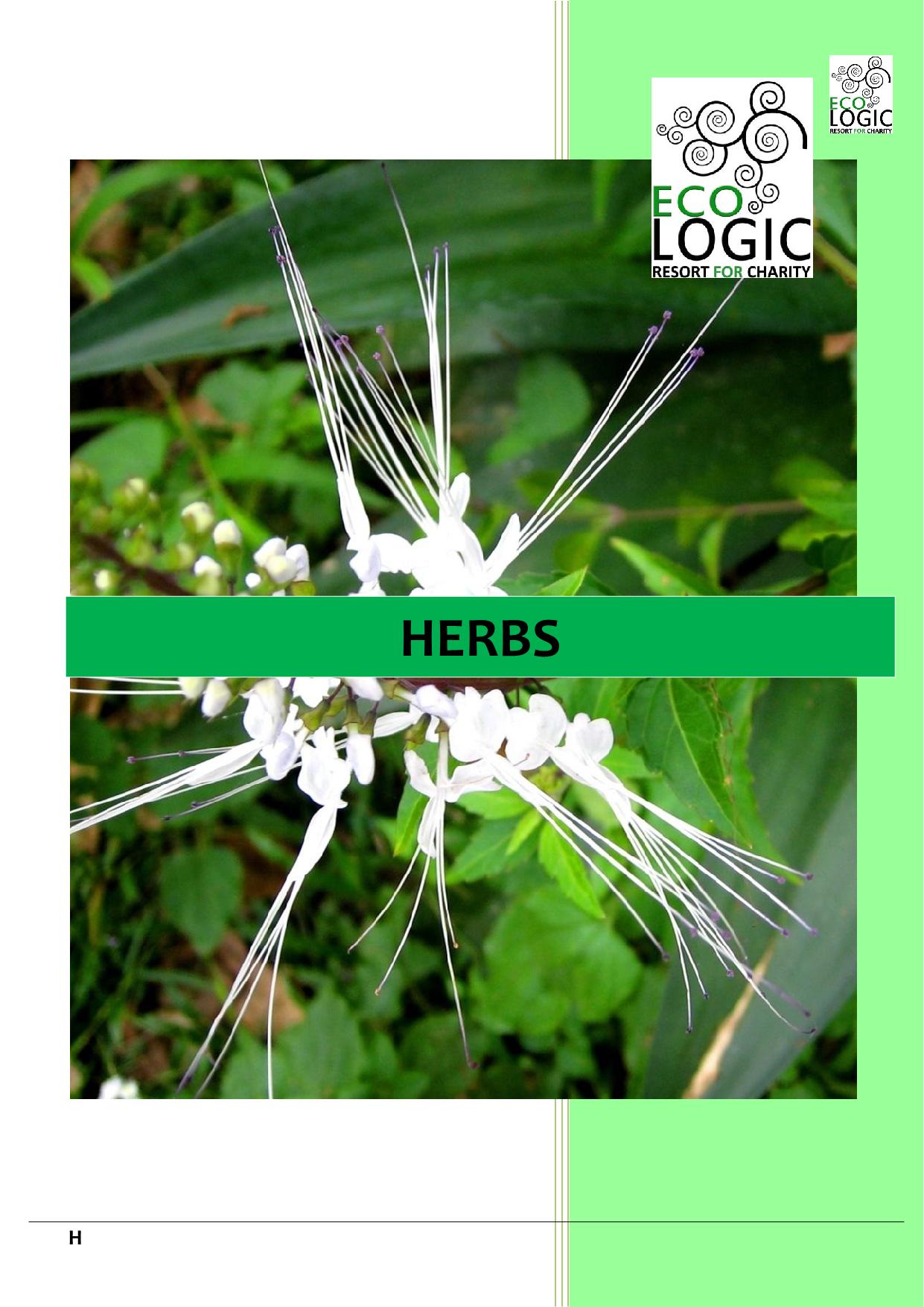 Herbs and plants tcdf.ecologic Page 8 Flip PDF Online PubHTML5