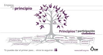 Material de difusión IEDF