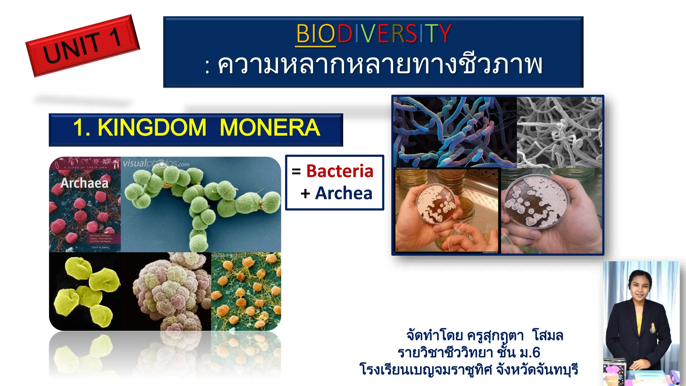 ppt 1 _ Monera (Bacteria - Archea) - suklittha24 - หน้าหนังสือ 1 - 14 |  พลิก PDF ออนไลน์ | PubHTML5