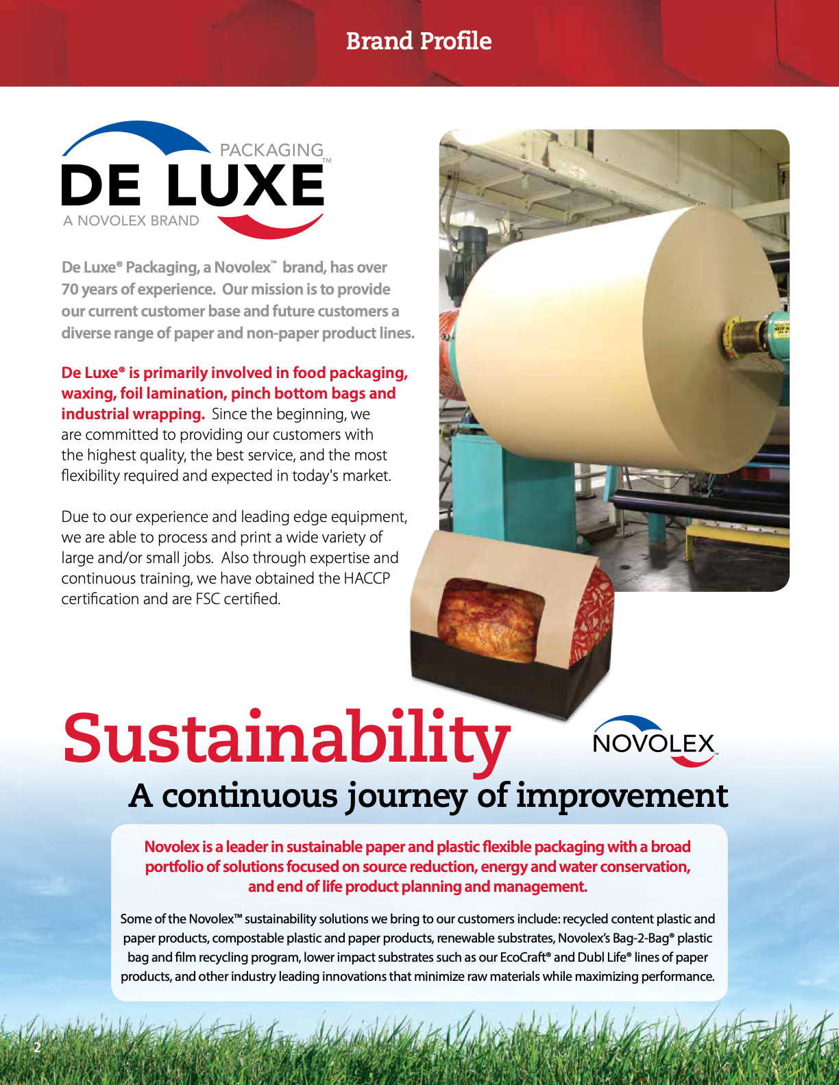 De Luxe Product Catalog Brand Points PLUS Page 2 Flip PDF Online