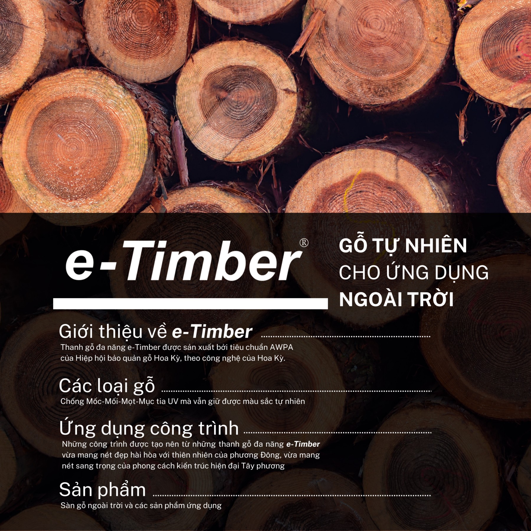 CATALOGUE eTIMBER eTimber Gỗ tự nhiên Page 2 Flip PDF Online