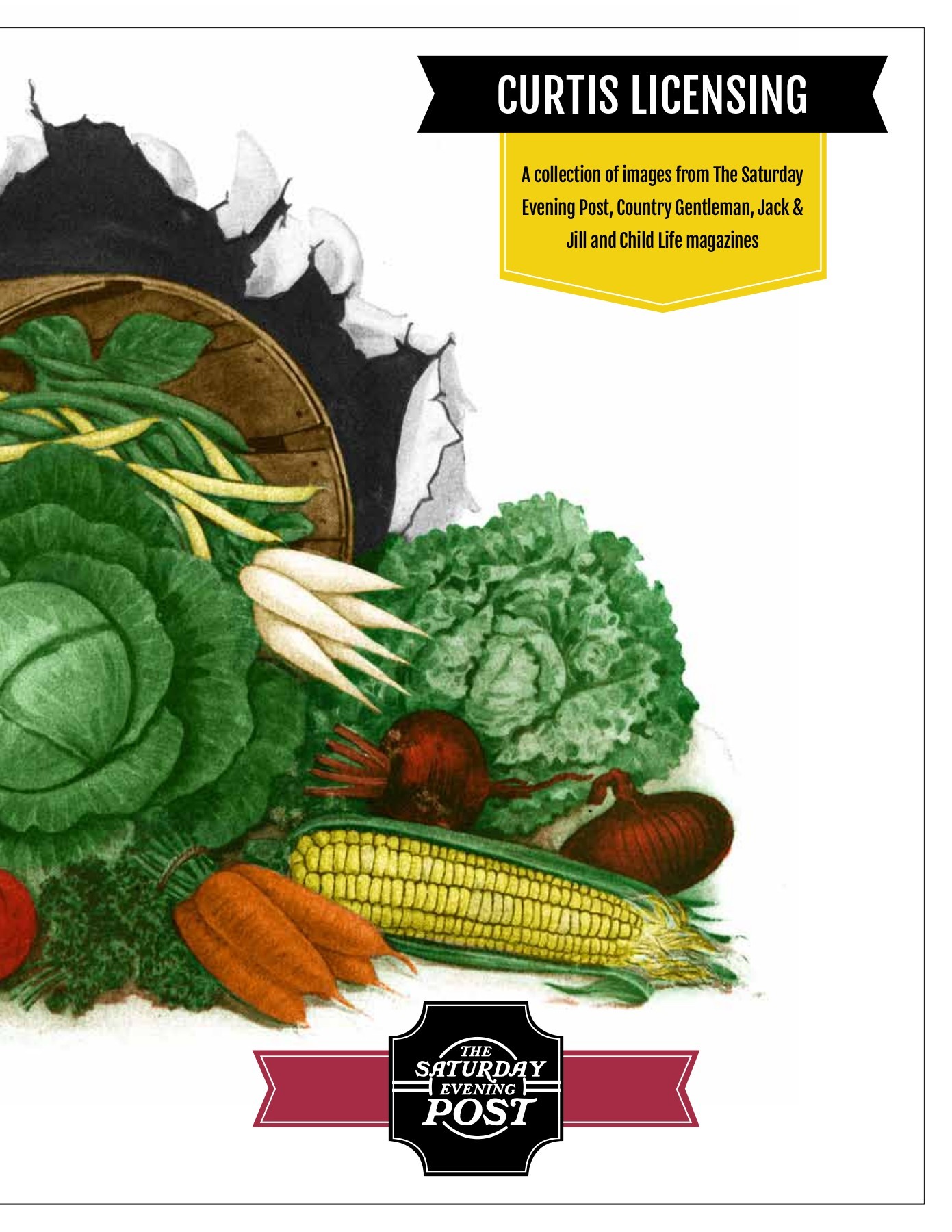 Coaster Catalog Kathleen Pugh Page 1 28 Flip PDF Online PubHTML5