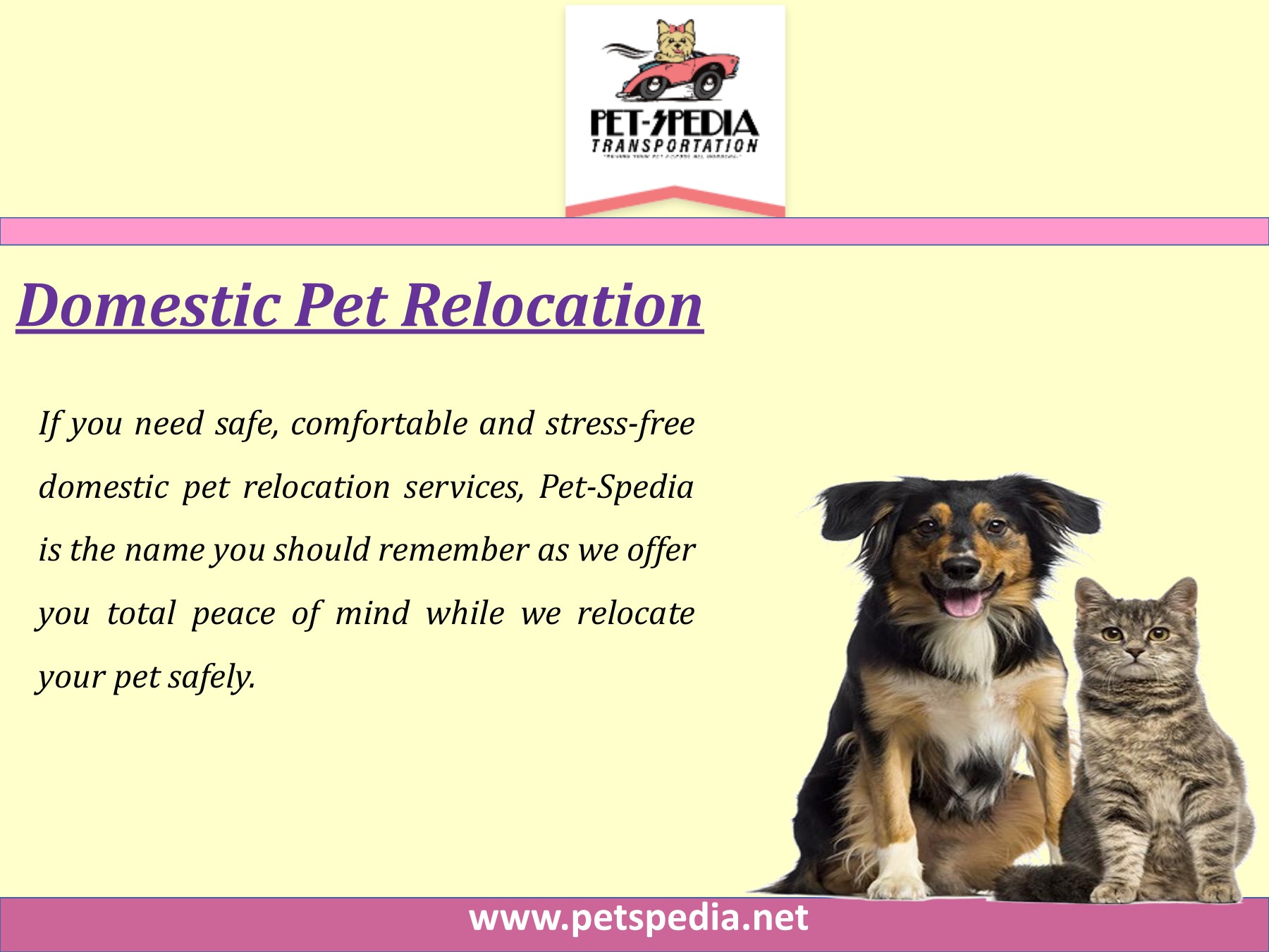 Pet Ground Transportation Page 3 Flip PDF Online