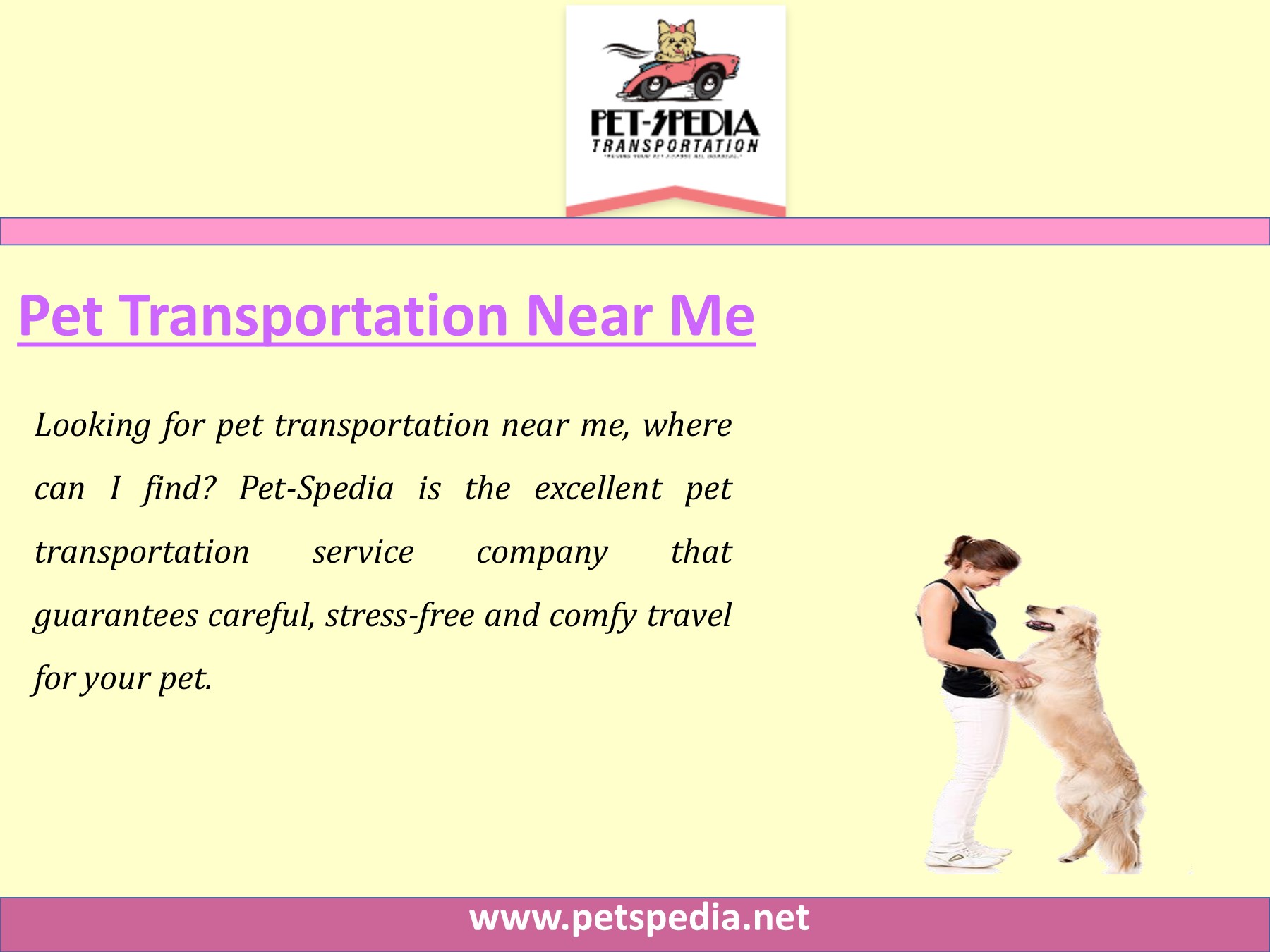 Pet Ground Transportation Page 4 Flip PDF Online