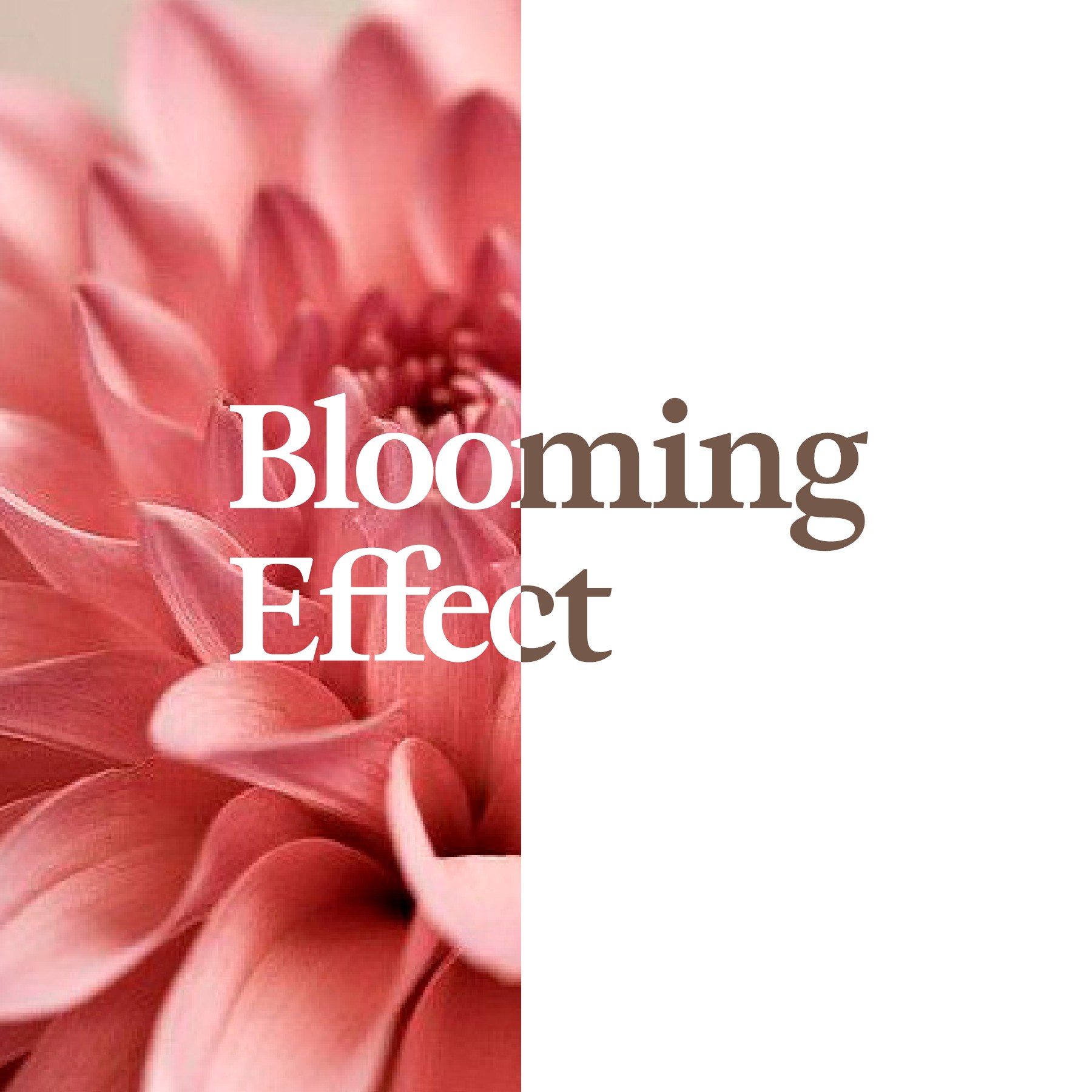 Blooming cafe coffee table book Fredrica Sam Page 1 18 Flip PDF