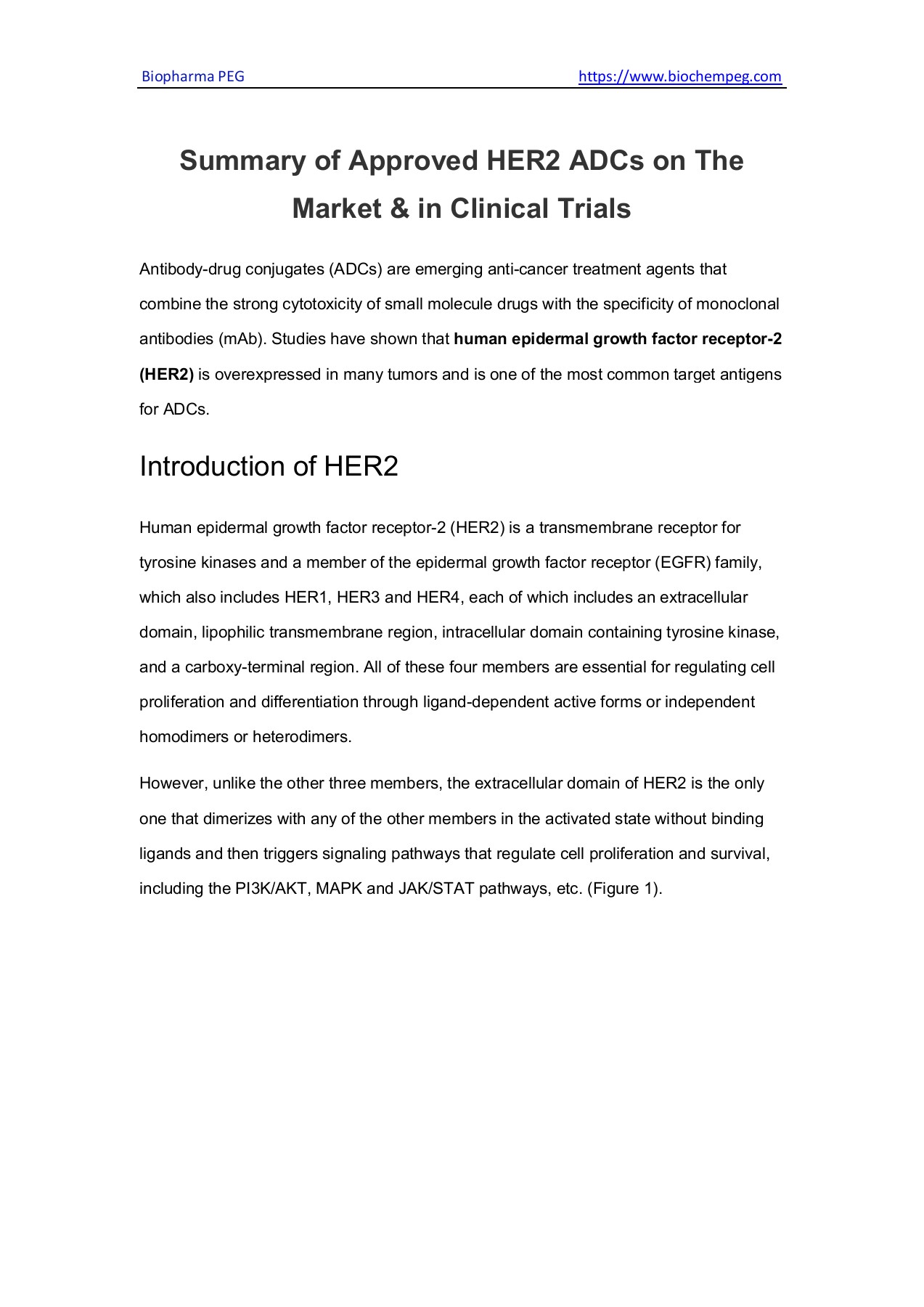 Summary of Approved HER2 ADCs on The Market & in Clinical Trials