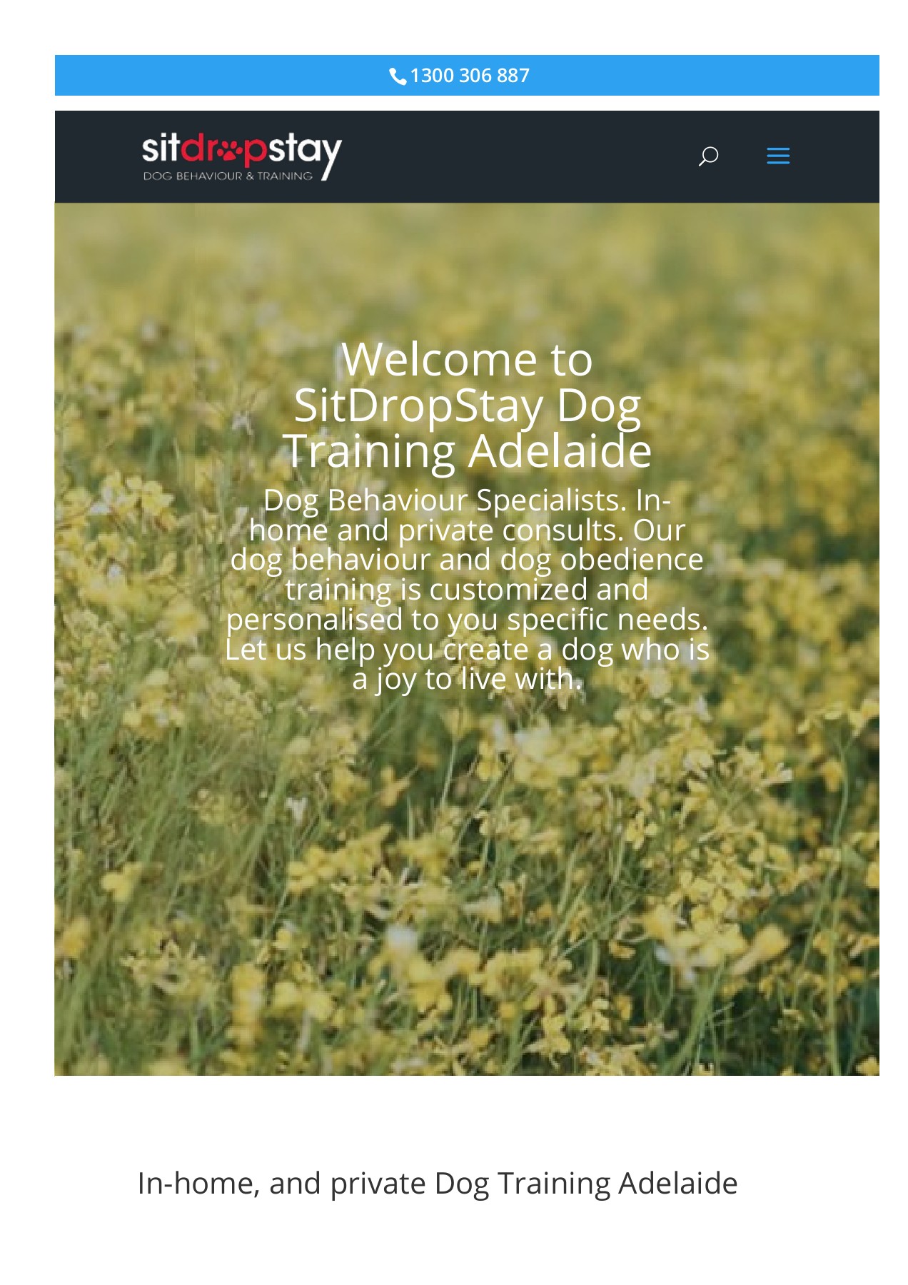 Dog training Adelaide sitdropstay01 Page 1 5 Flip PDF Online