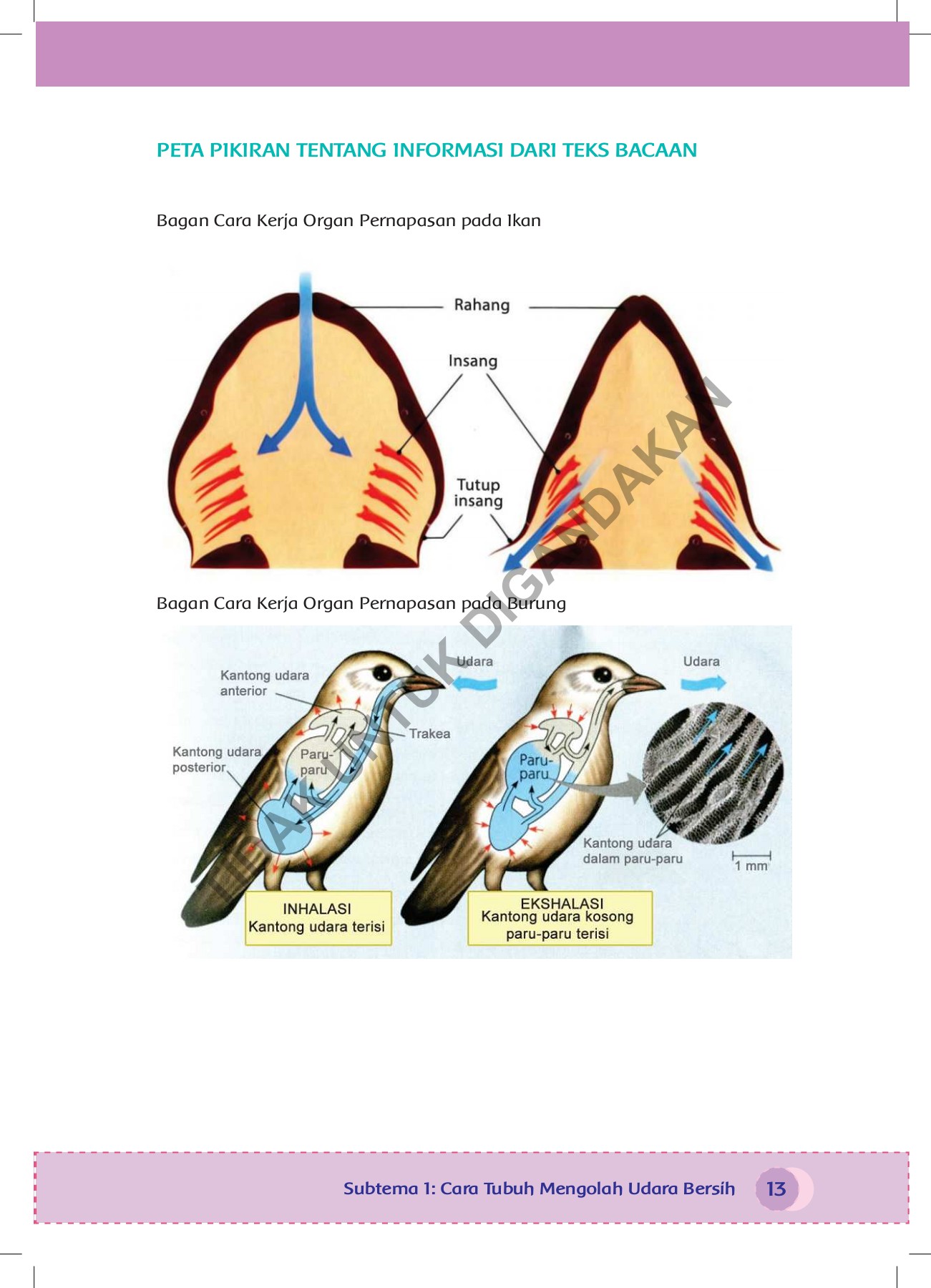 Buku Guru - Kelas 5 Tema 2 Rev 2017 - isaalfarisi67 - Muka Surat 21