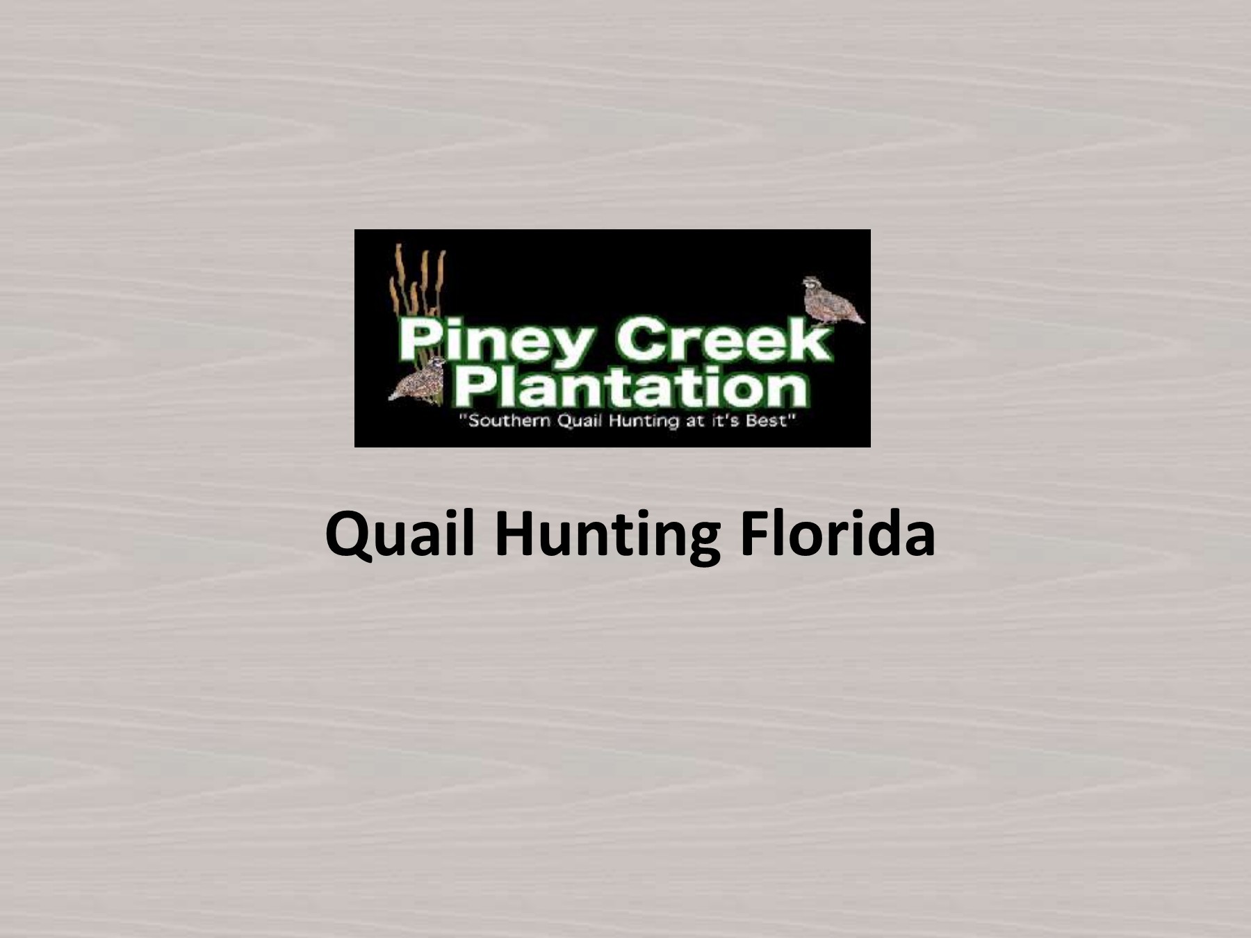 Quail Hunting Florida - pineycreekplantation - Page 1 - 5 | Flip PDF