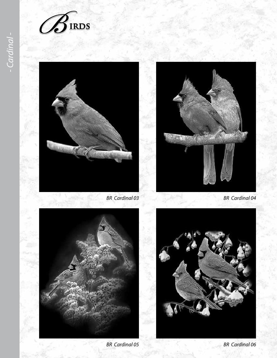 MCD Etching Catalogue Final2020 ronatwork19 Page 49 Flip PDF